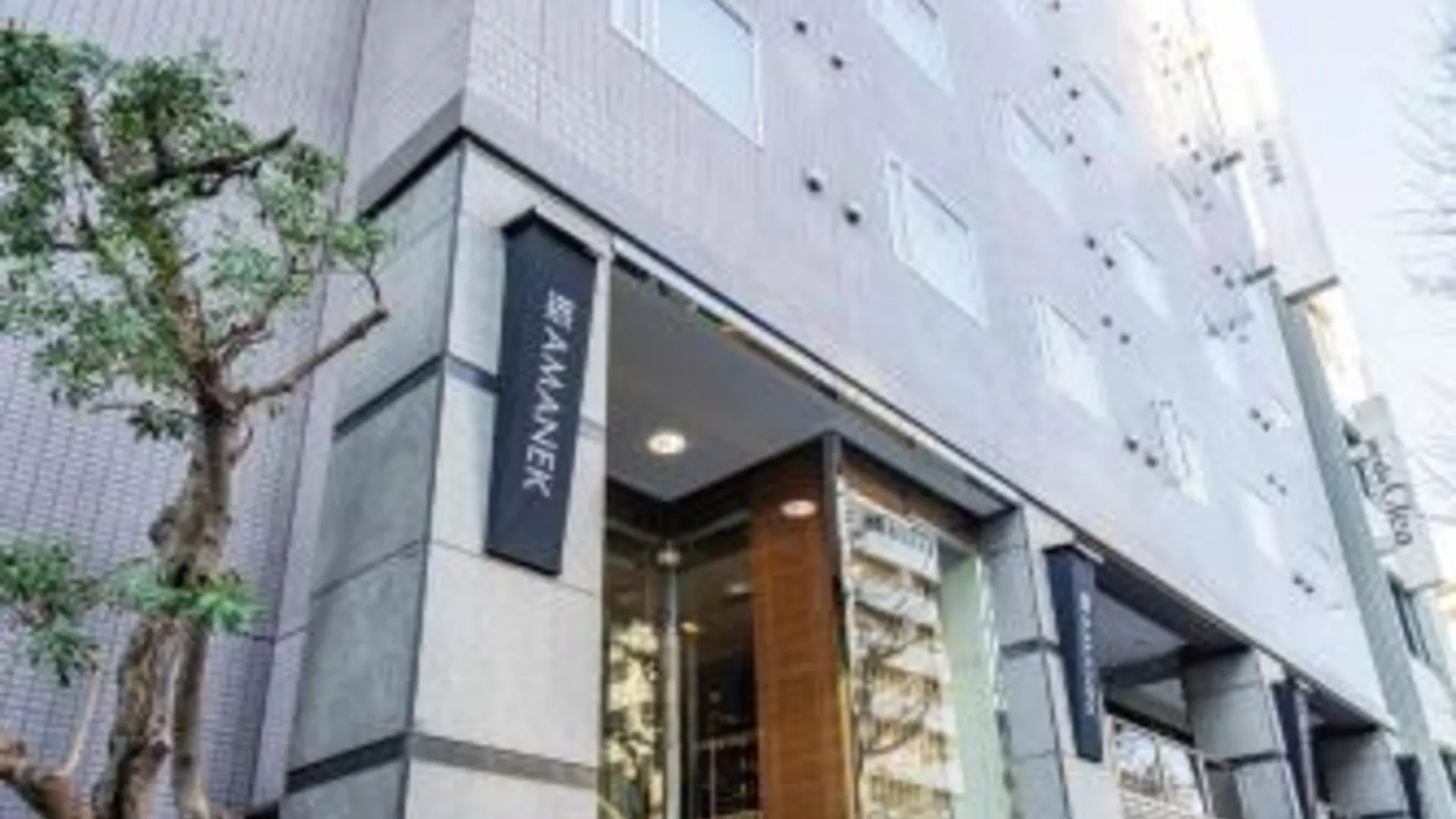 도쿄 / 동경 HOTEL AMANEK Asakusa Sakurabashi 3성급 호텔 객실