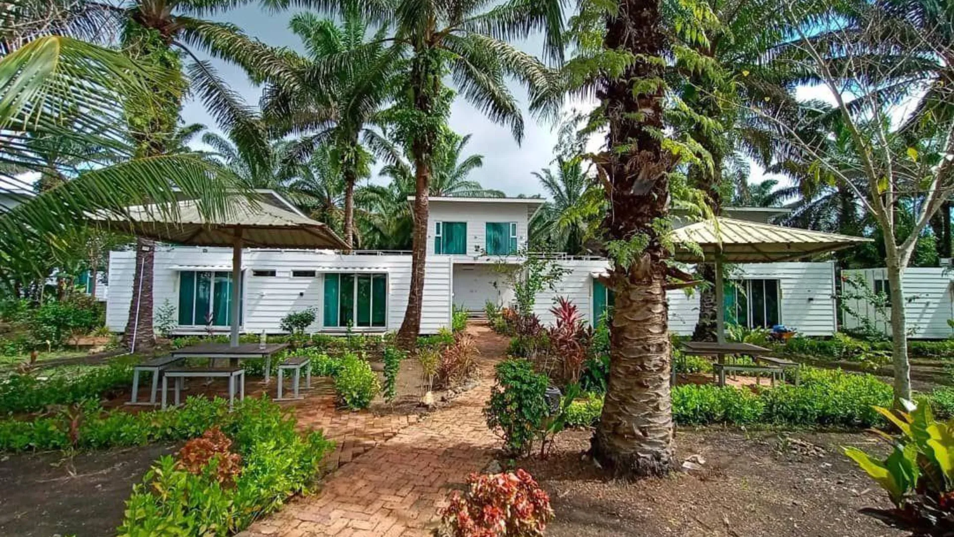 셈포르나 Sipadan Palm Resort 绿野仙棕度假村 5성급 호텔 부대시설