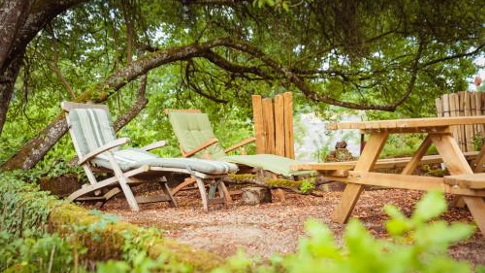 아우반게 Tiny Messancy, une immersion dans la nature ! 4성급 싱글룸 수영장