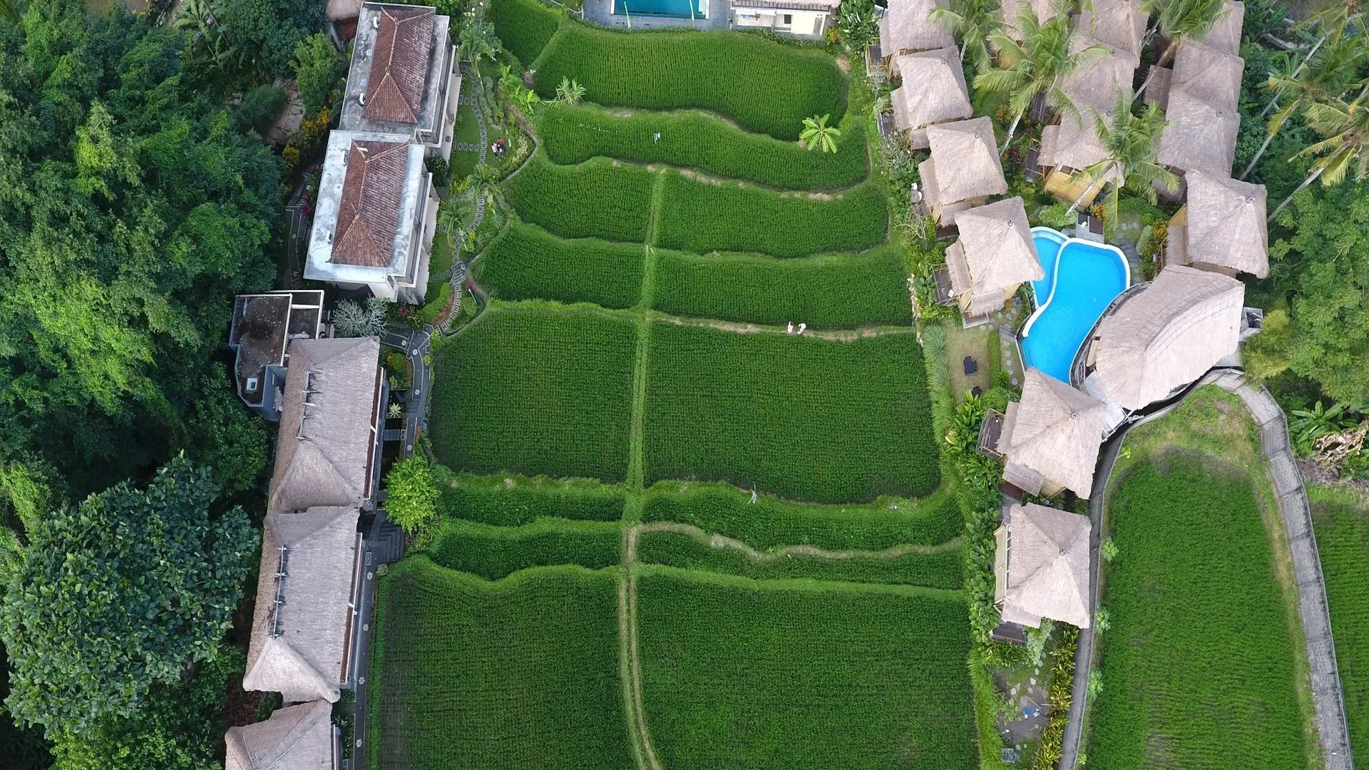 발리 비유쿠쿵 스위트 앤 스파 4성급 호텔 객실