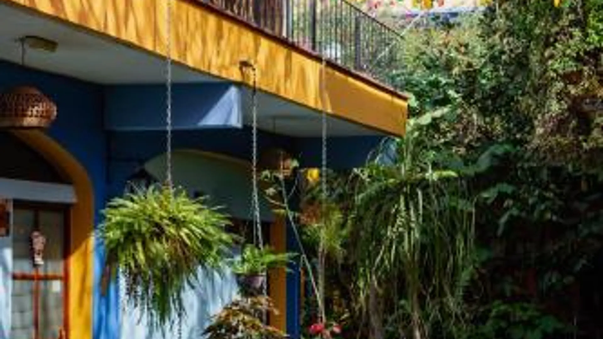 오악사카 Azul Cielo Hostel 2성급 호텔 외관