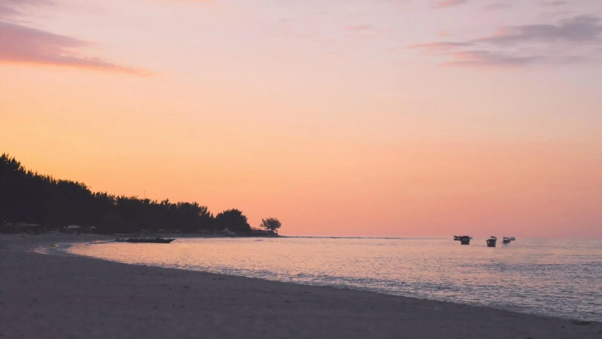 타이베이 Blue Ocean 4성급 싱글룸 외관