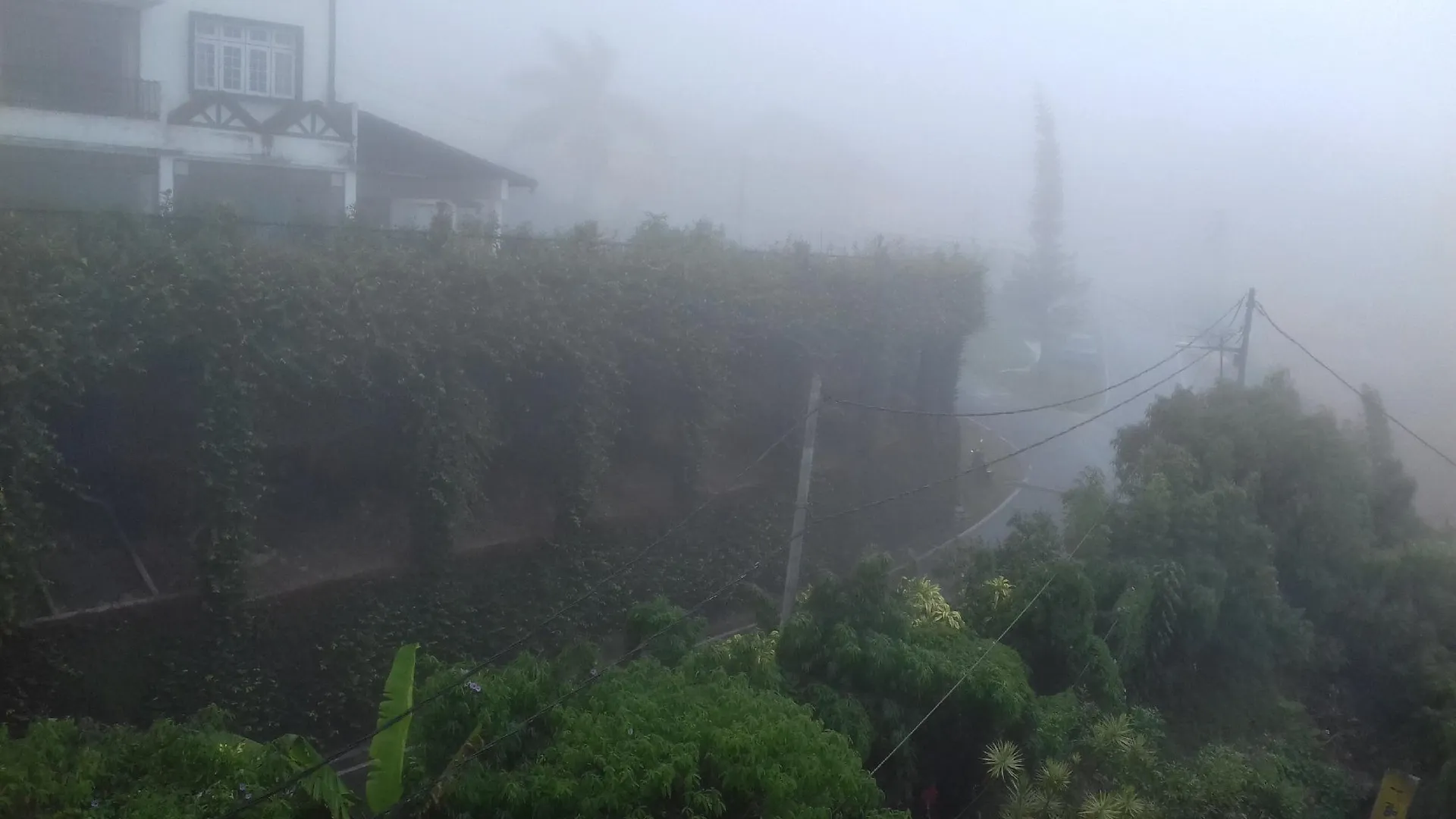 카메론 하일랜즈 호텔 센토사 호텔 객실