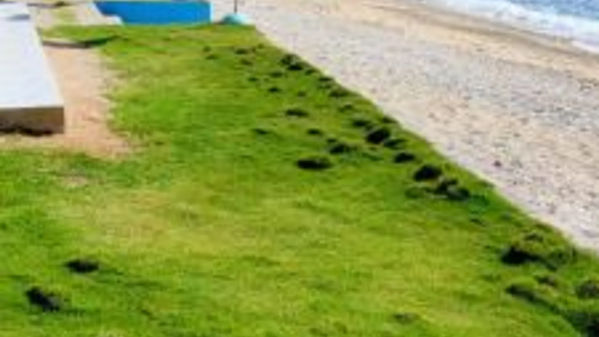 세부 알로하 2성급 호텔 스위트룸