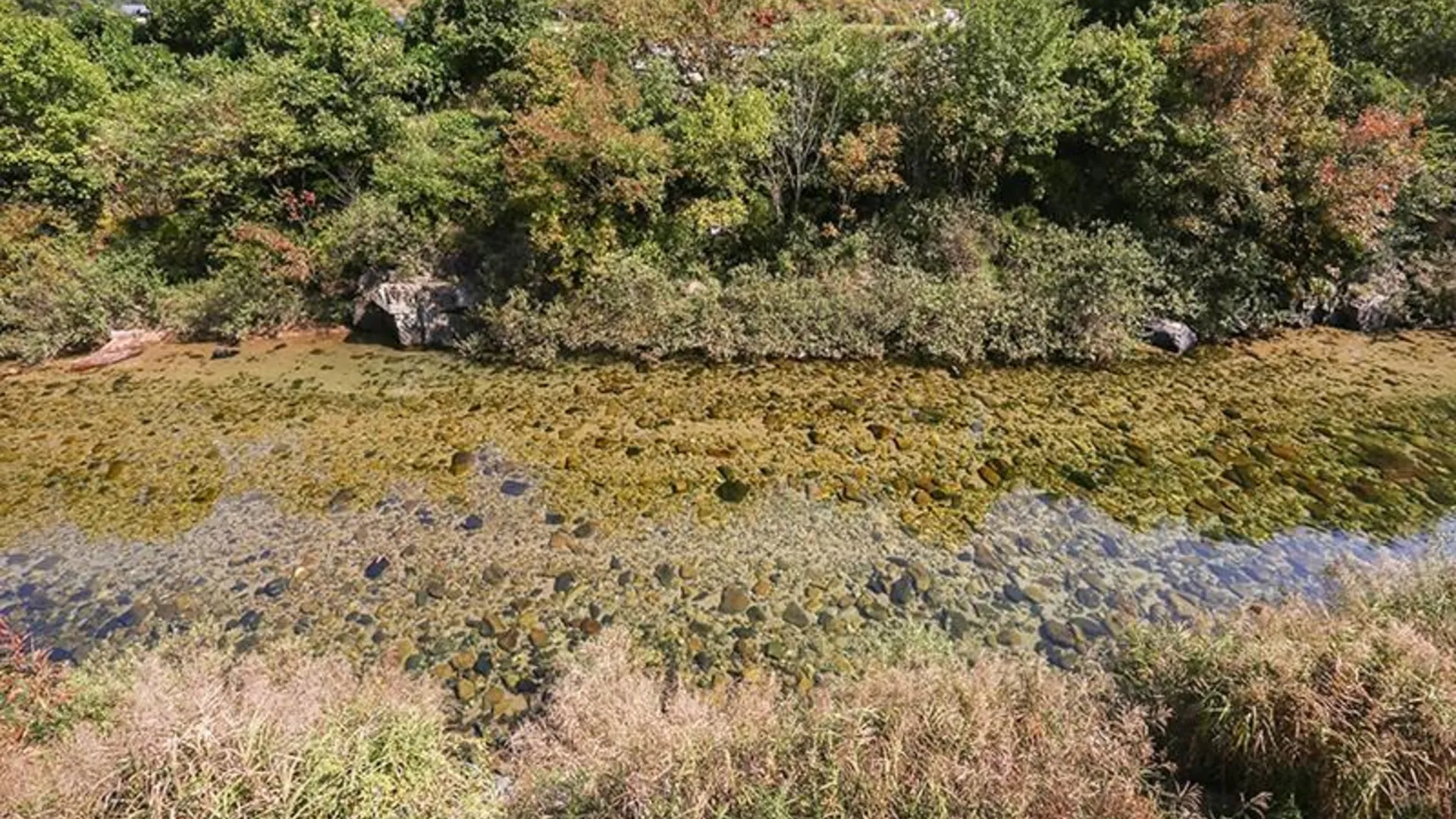 단양 단양 단양팔경펜션 2성급 게스트하우스 전망