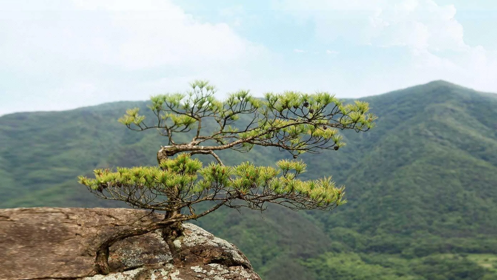 산청 산청 지리산폭포펜션 2성급 게스트하우스 수영장