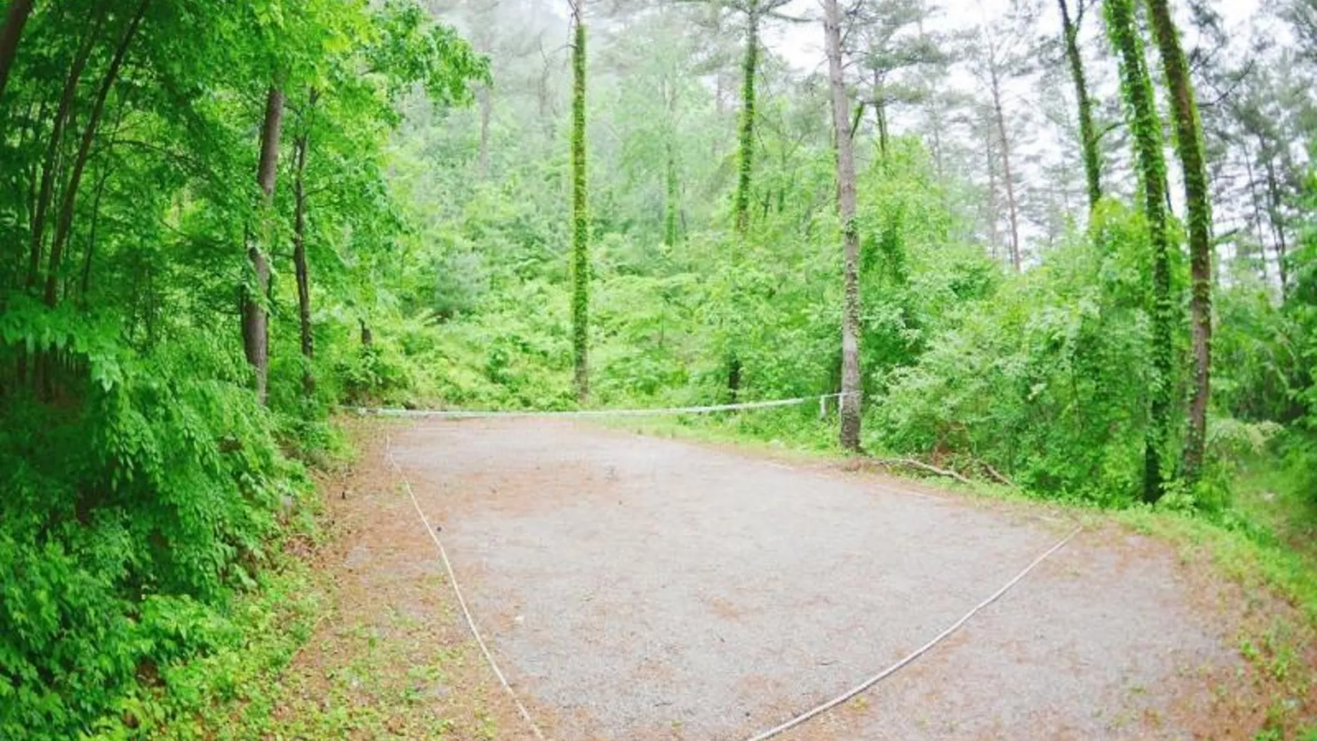 양양 양양 푸른하늘은하수펜션 3성급 게스트하우스 수영장