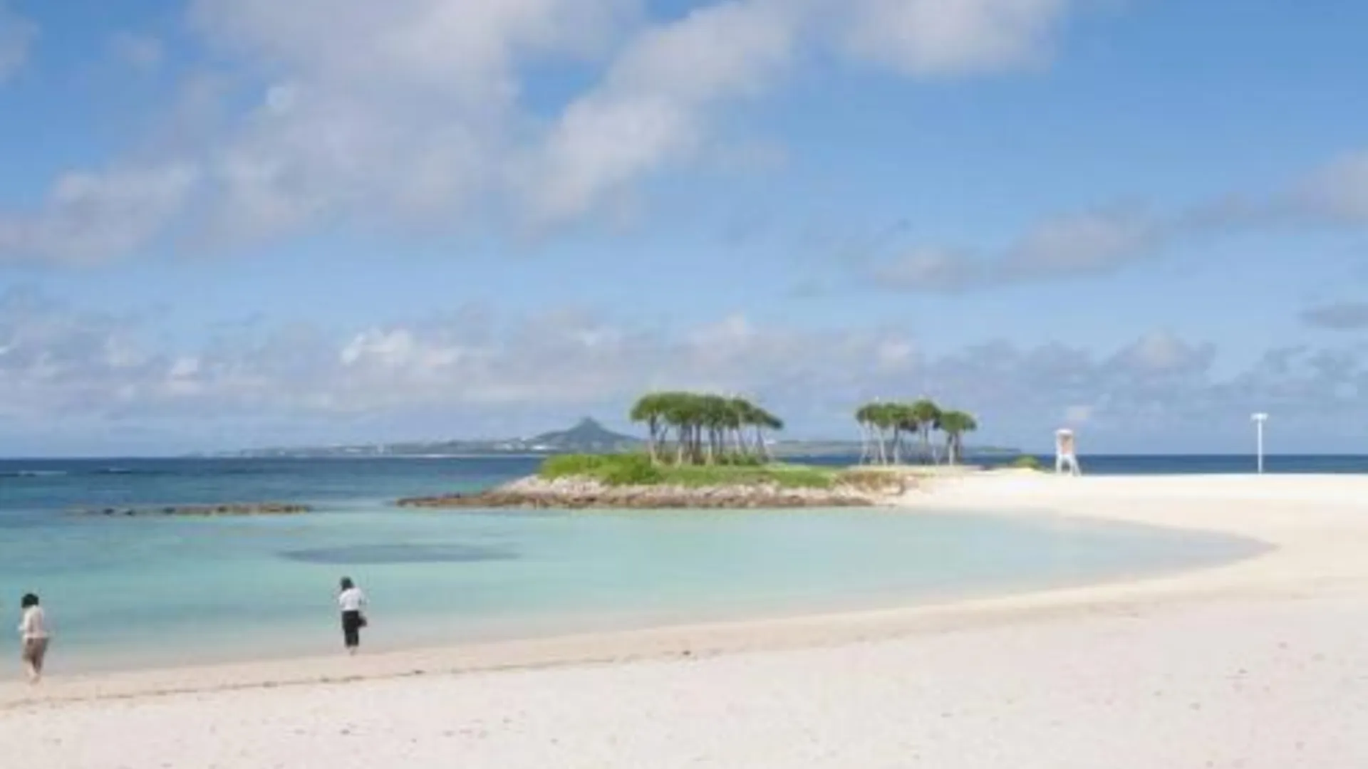 오키나와 본섬 沖縄といえばココ！！美ら海水族館徒歩圏内！ビーチにBBQに星空観察　隠れ家的貸切一軒家 2성급 싱글룸 부대시설