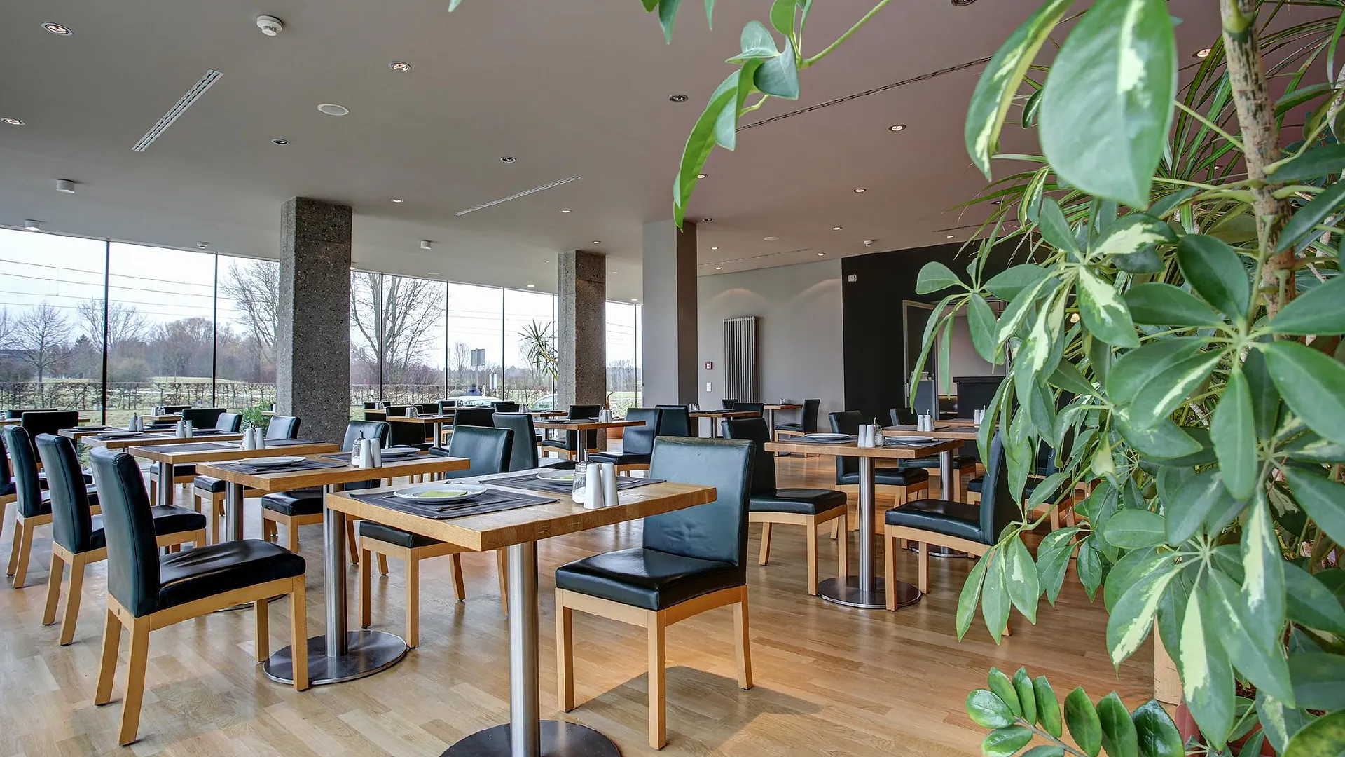 오스트필더른 센트로 파크 호텔 슈투트가르트, 트레이드마크 컬렉션 바이 윈덤 3성급 호텔 스위트룸