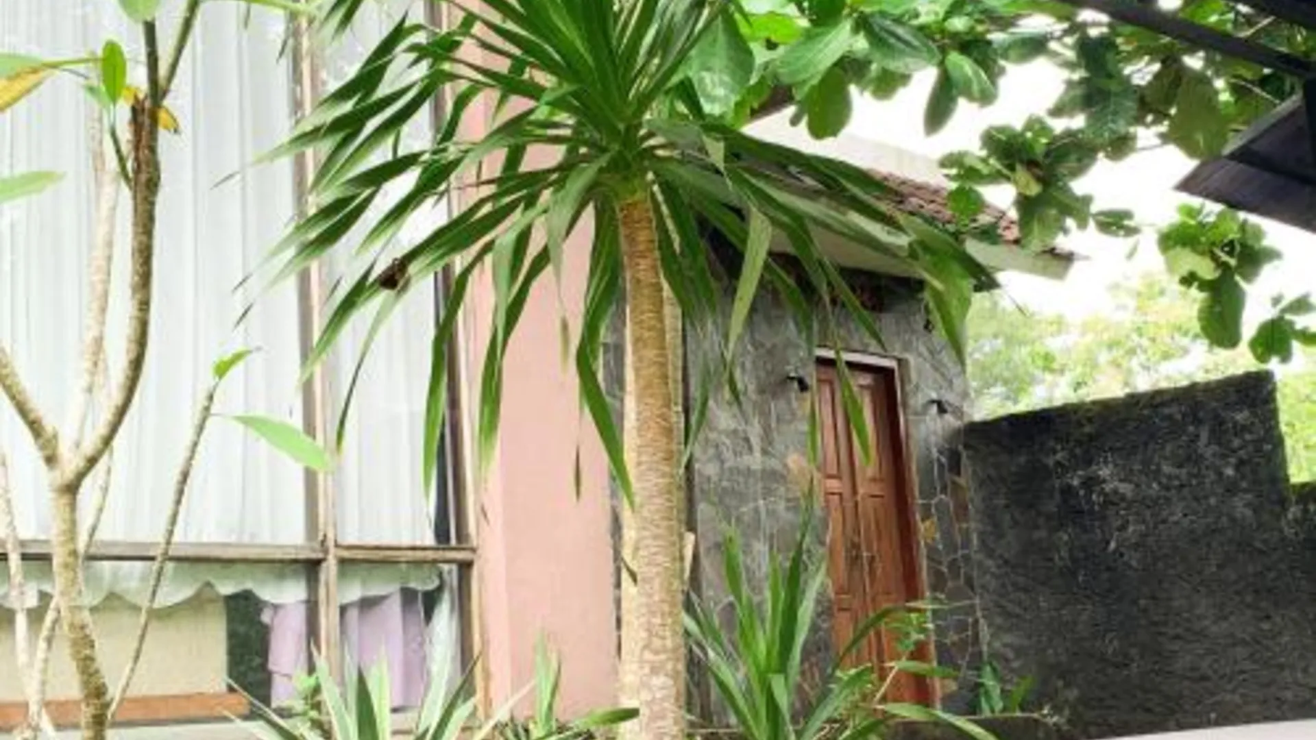 발리 Gwen Cozy Homestay 2성급 게스트하우스 외관