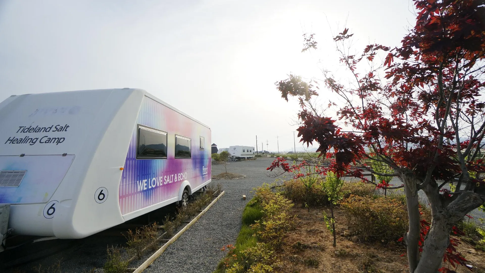 신안군 신안 천일염힐링캠프 카라반 2성급 게스트하우스 스위트룸