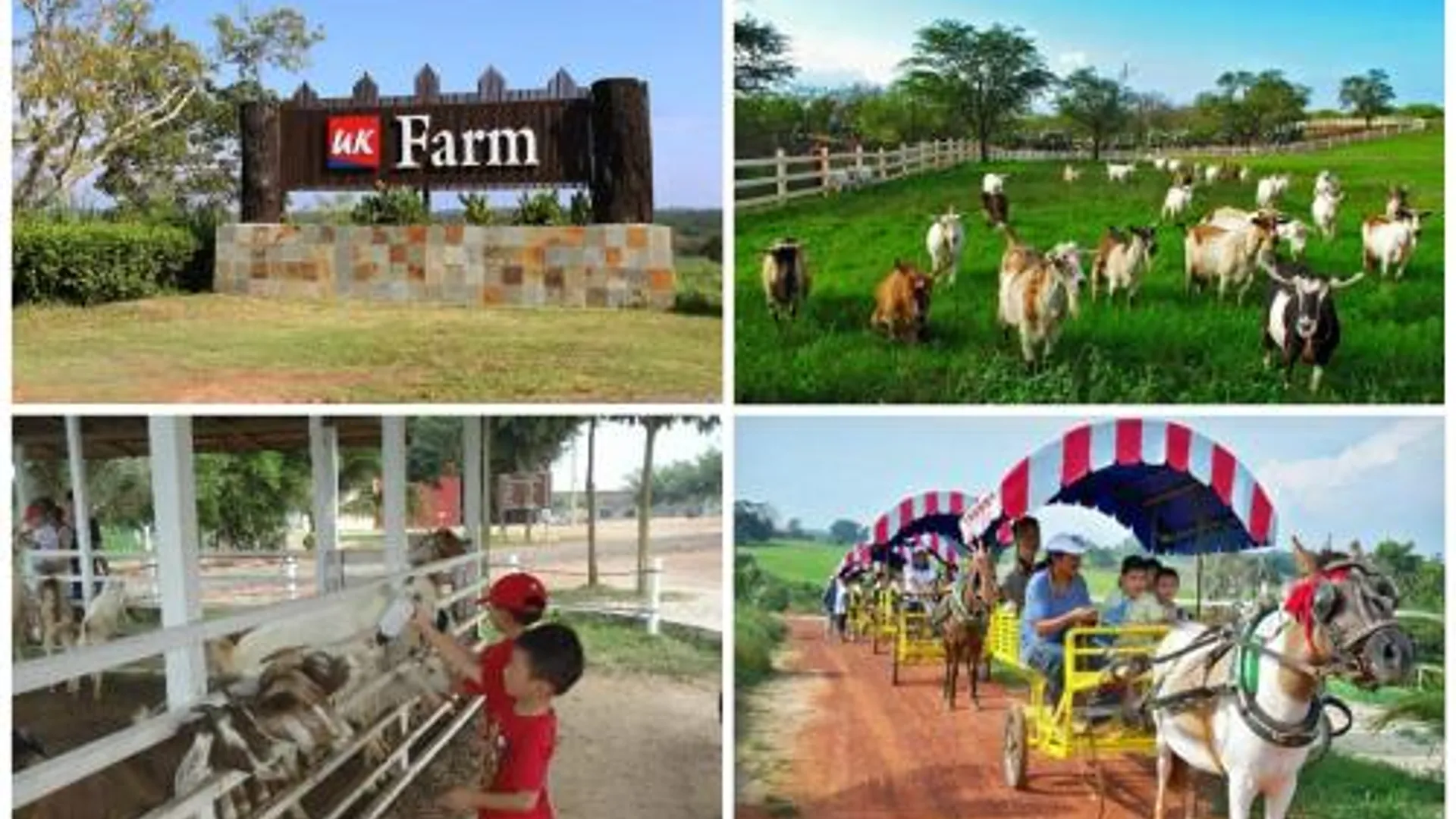 크루앙 클루앙 시티 센터의 프라이빗 하우스 (322m², 침실 3개, 프라이빗 욕실 2개) 2성급 싱글룸 스위트룸