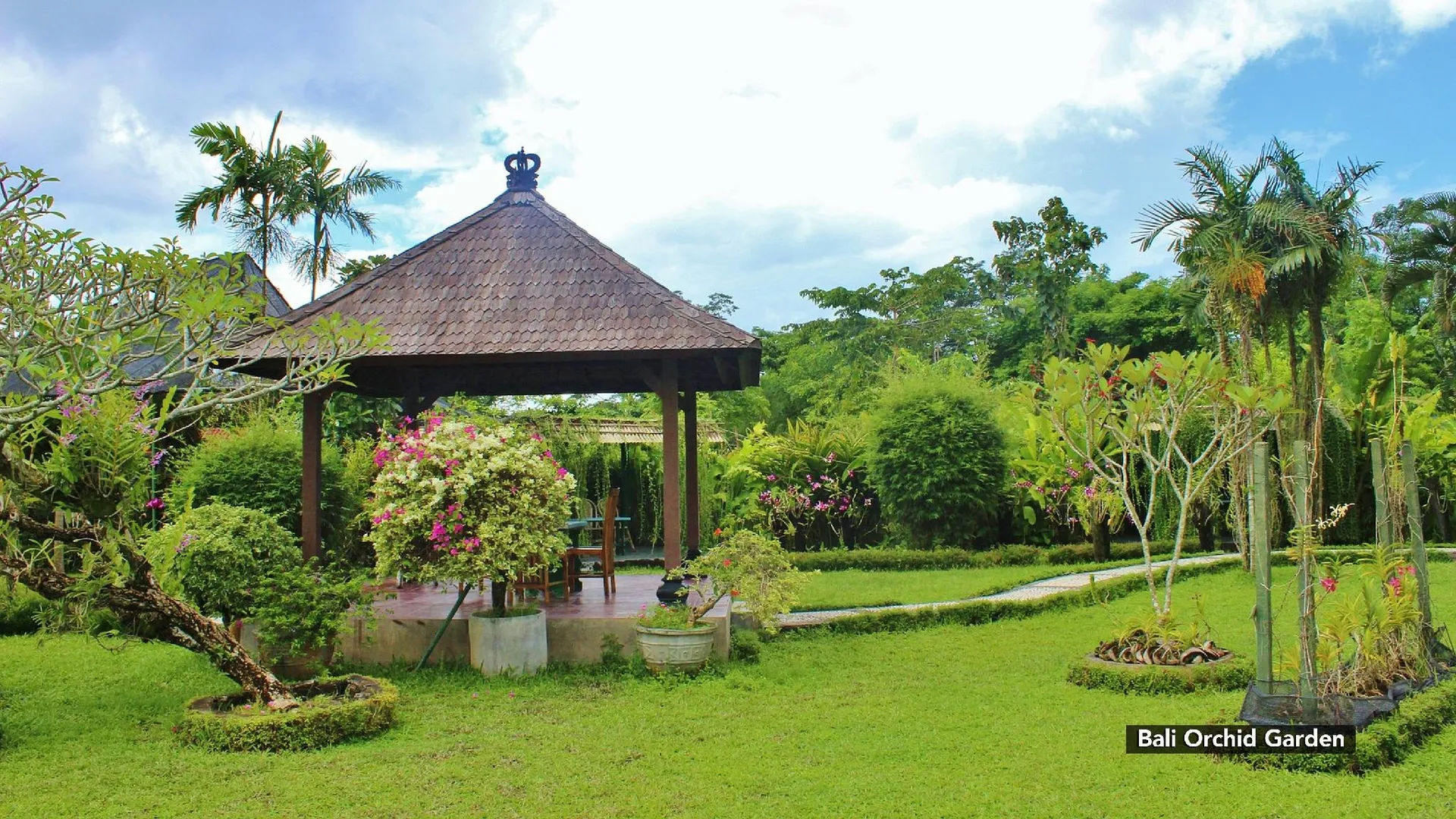 발리 아니쉬 홈스테이 1성급 호텔 스위트룸