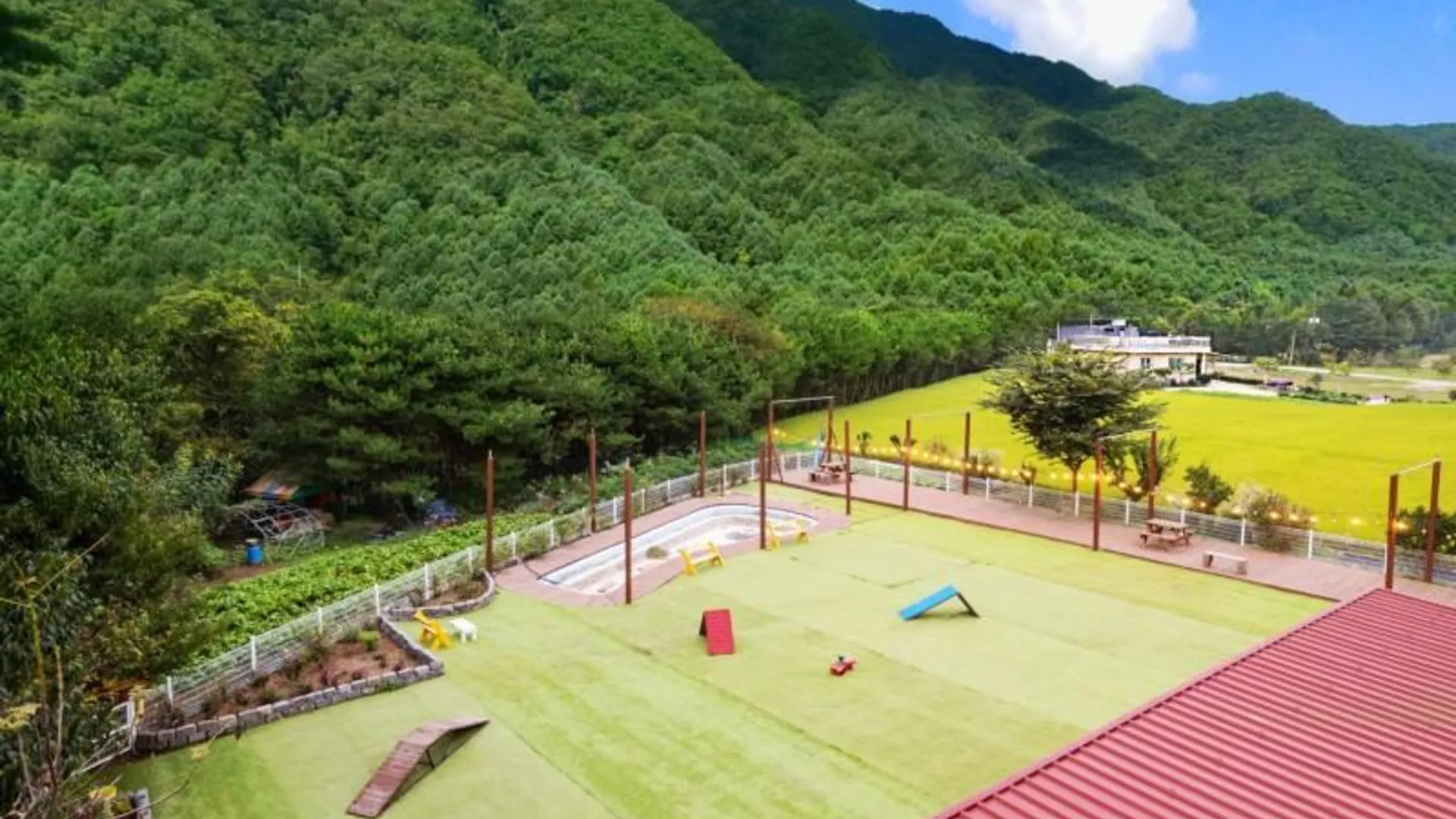 가평 가평 퍼니멍멍갤럭시하우스점 2성급 게스트하우스 수영장