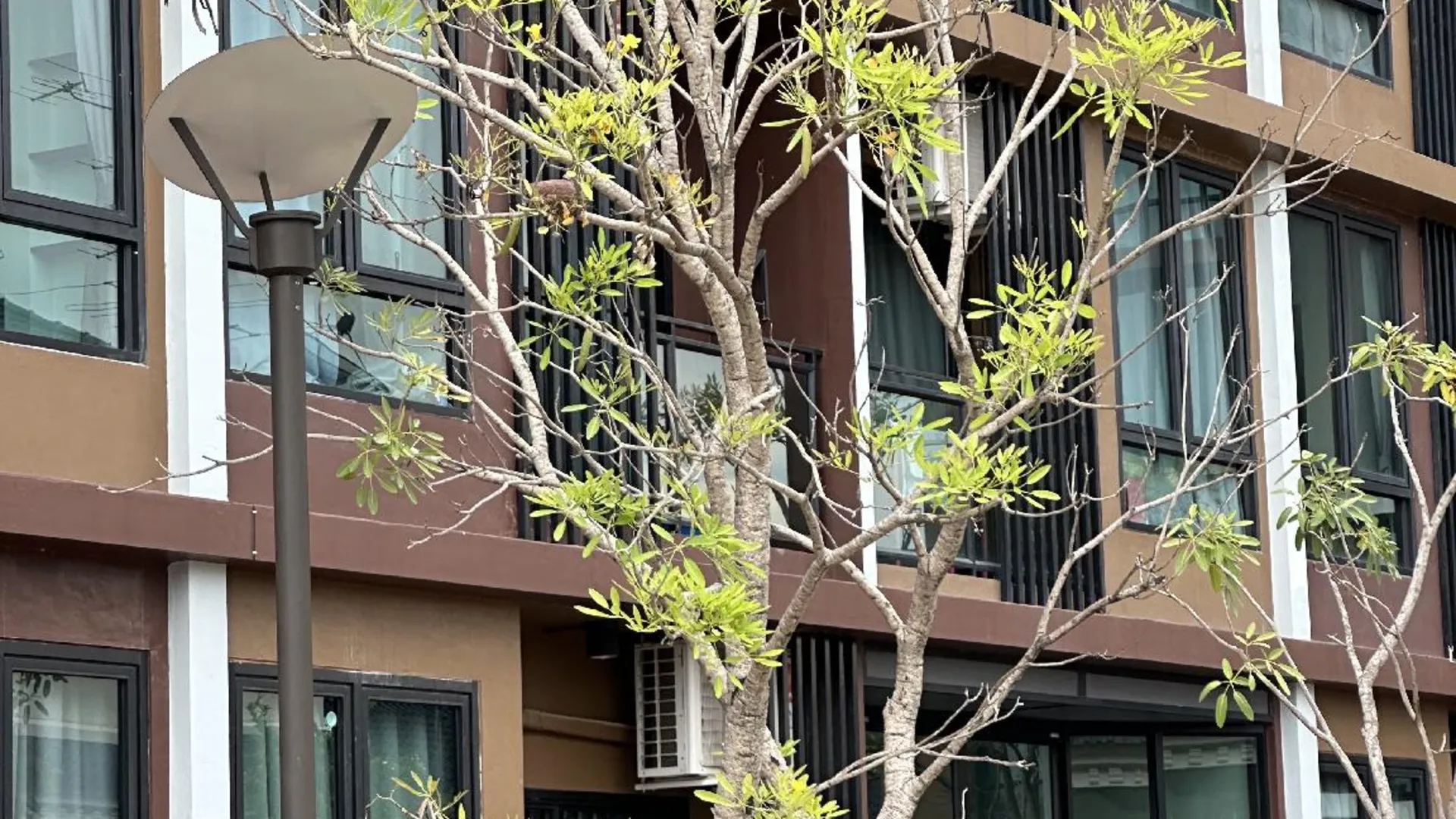 방콕 사우스 톤부리의 스튜디오 아파트먼트 (40m², 프라이빗 욕실 1개) 3성급 싱글룸 전망