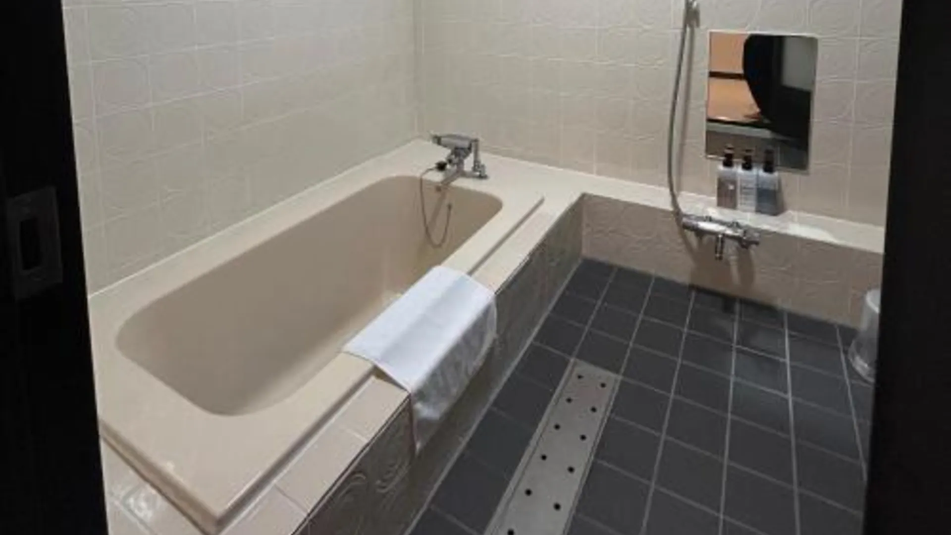 오사카 파크 호텔 4성급 호텔 수영장