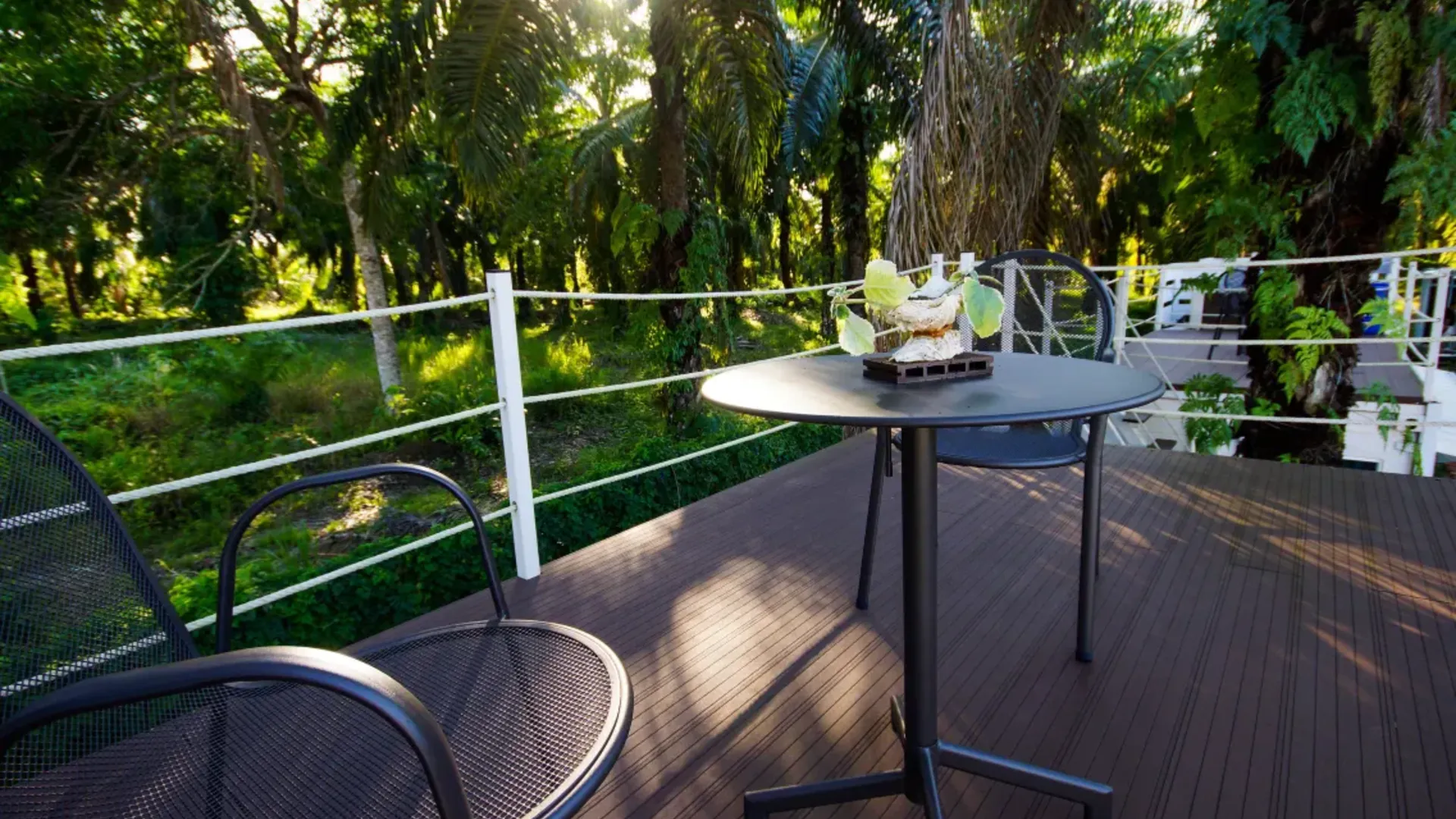 셈포르나 Sipadan Palm Resort 绿野仙棕度假村 5성급 호텔 객실