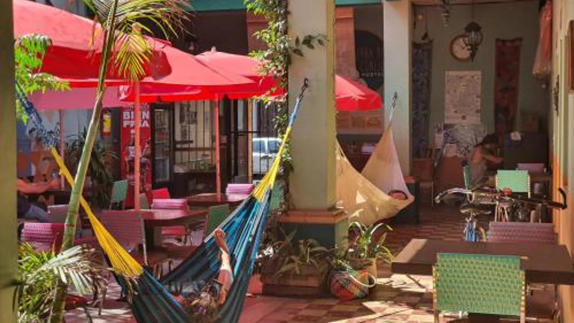 오악사카 Hierba De Conejo Hostel 2성급 호텔 객실