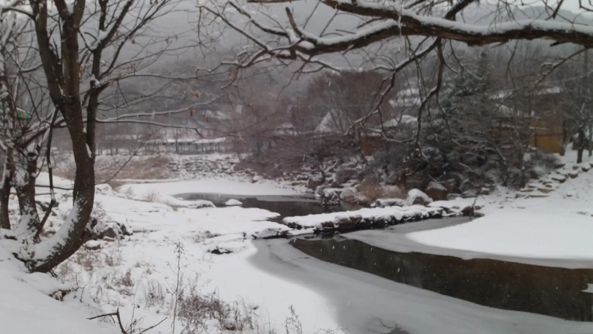상주 상주 자연속으로나를찾아서펜션 2성급 게스트하우스 객실