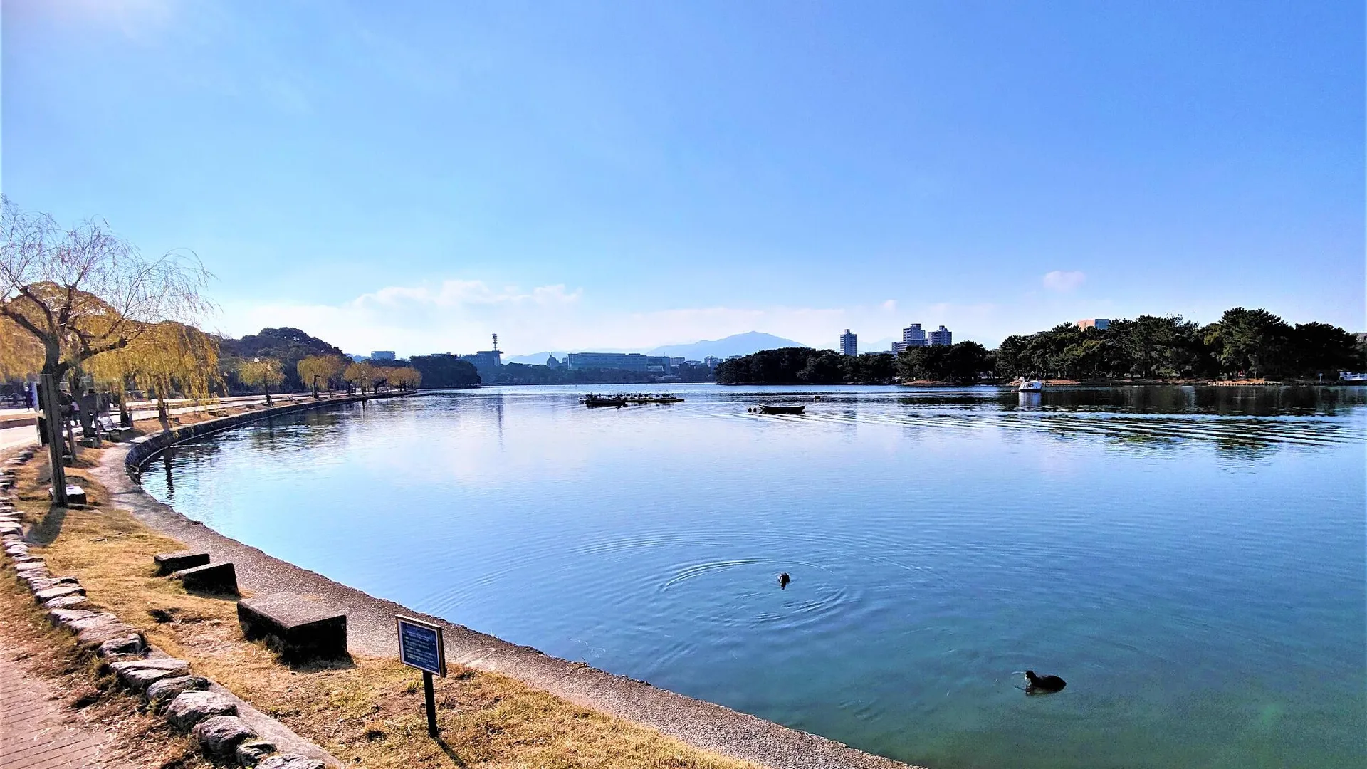 후쿠오카 헤와다이 호텔 오테몬 2성급 호텔 객실