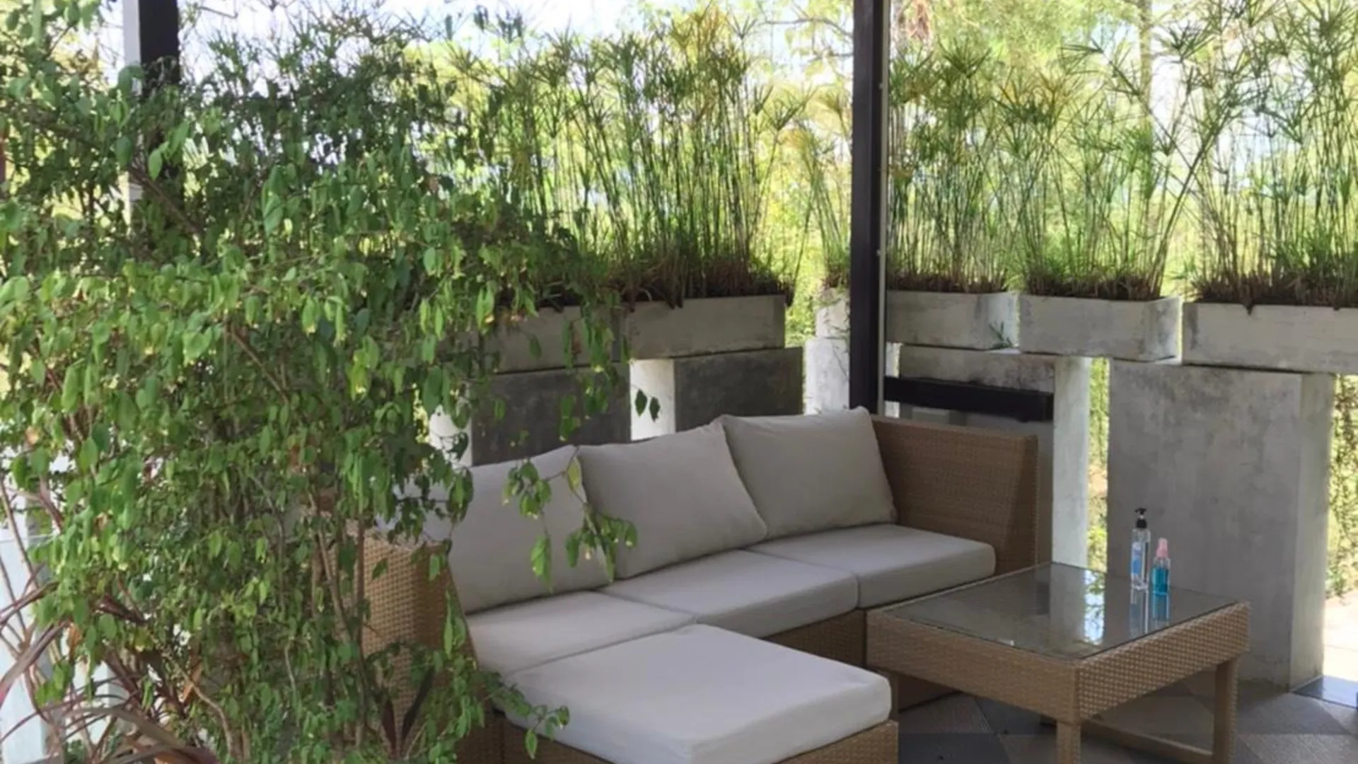 치앙라이 탄야 반 본 도이 4성급 호텔 외관