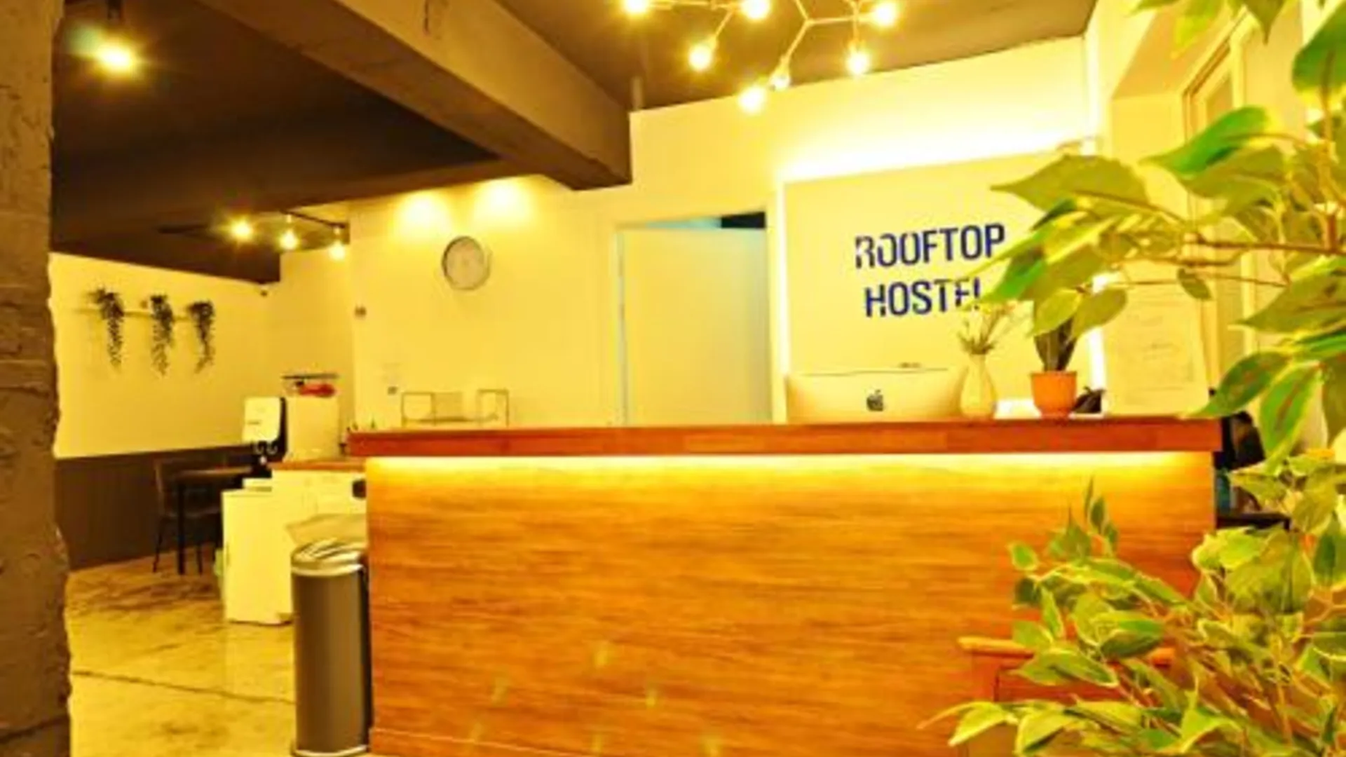 서울 OYO 루프탑 호스텔 1성급 호텔 레스토랑