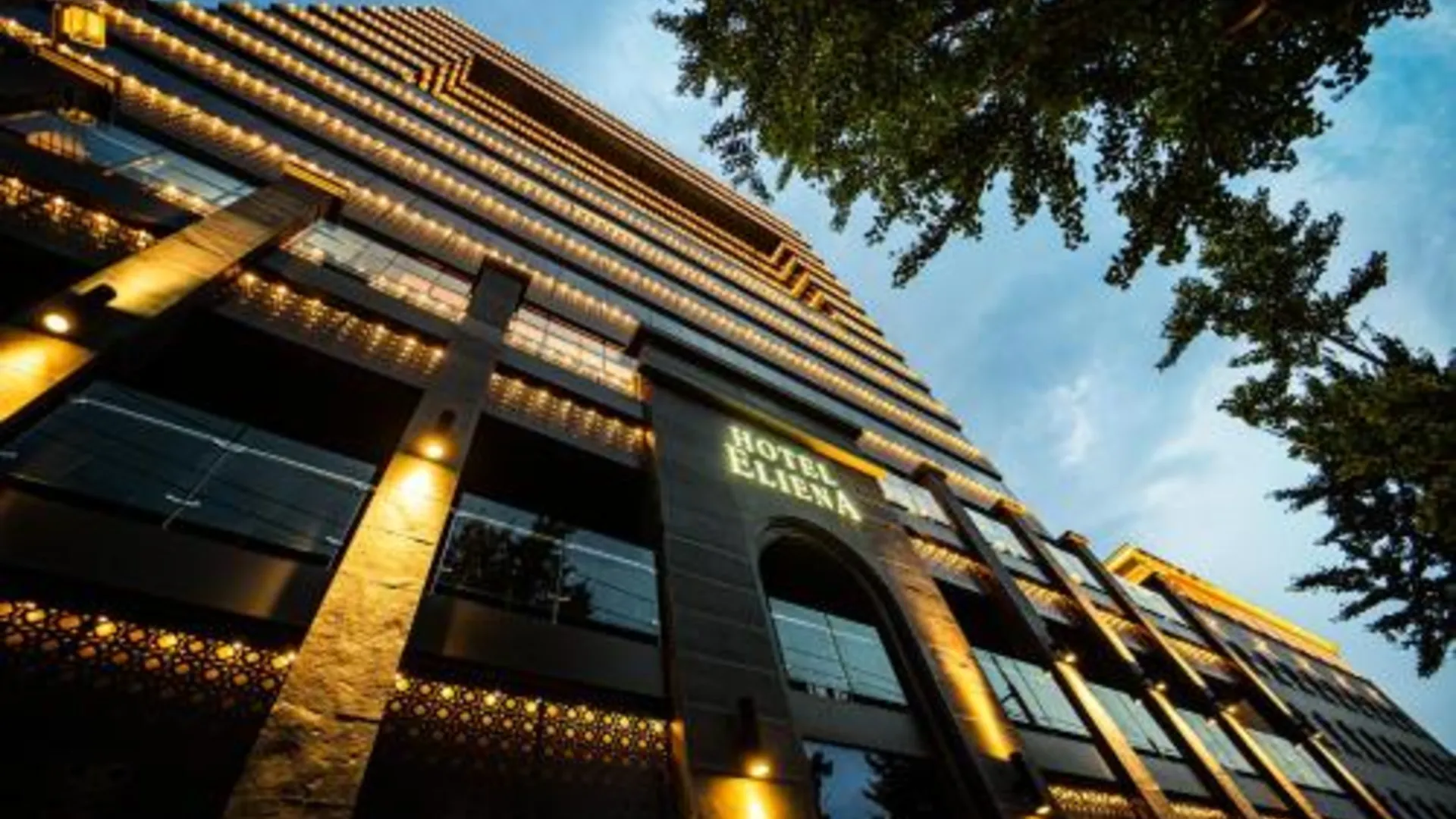 서울 호텔 엘리에나 서울 강남 4성급 호텔 객실