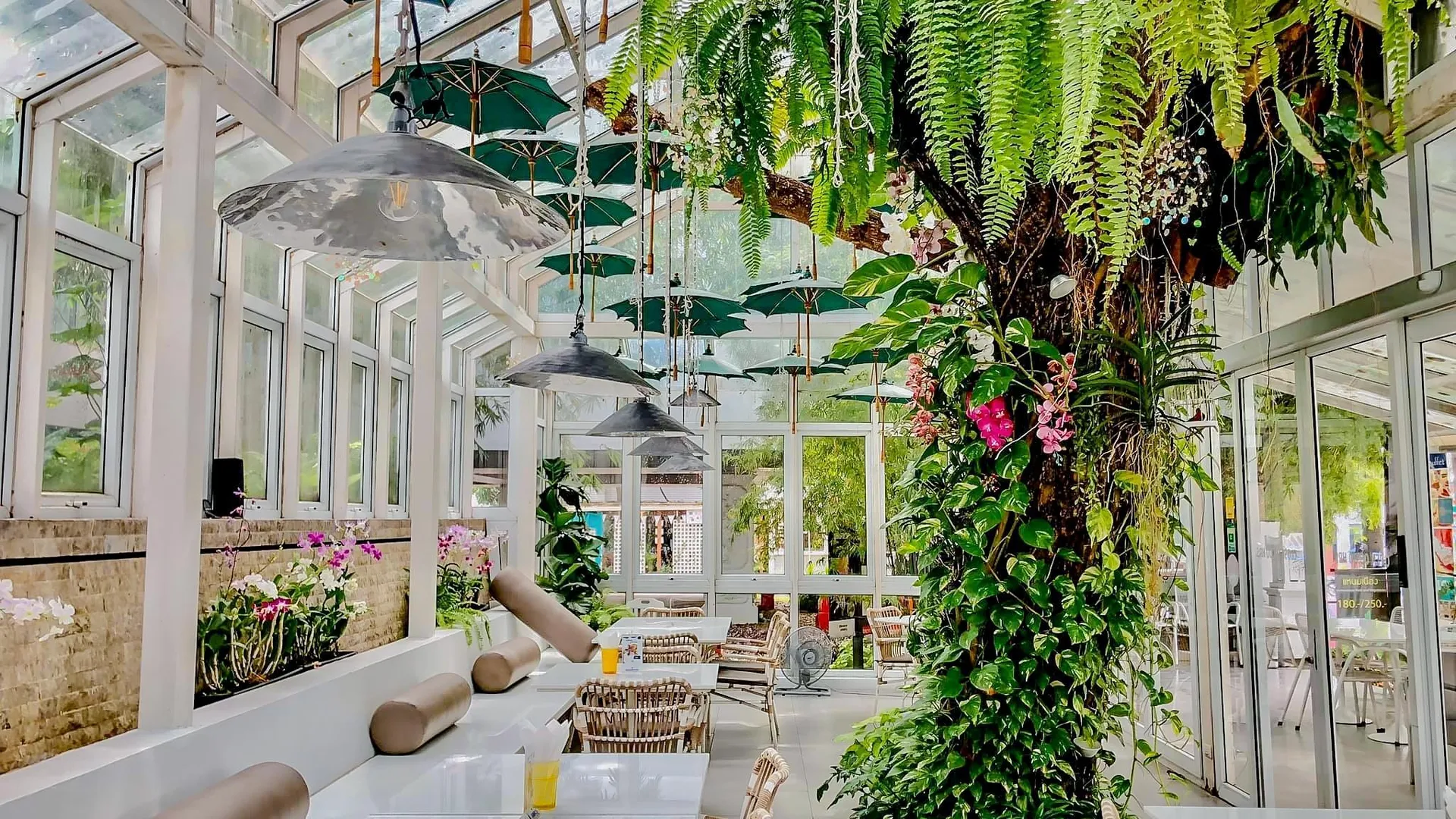 푸켓 시노 하우스 호텔 3성급 호텔 외관