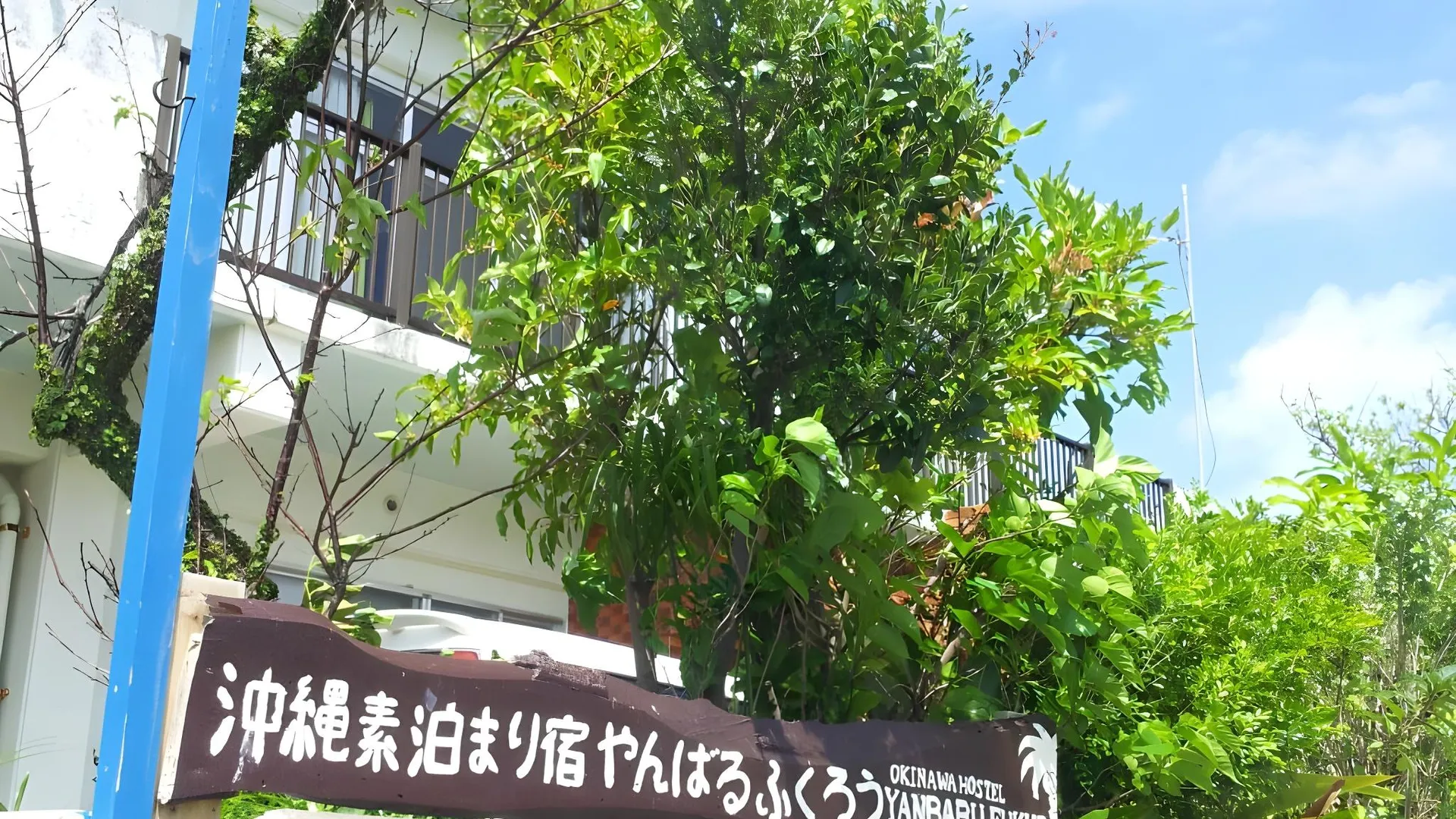 오키나와 본섬 오키나와 호스텔 얀바루 후쿠로 1성급 호텔 객실