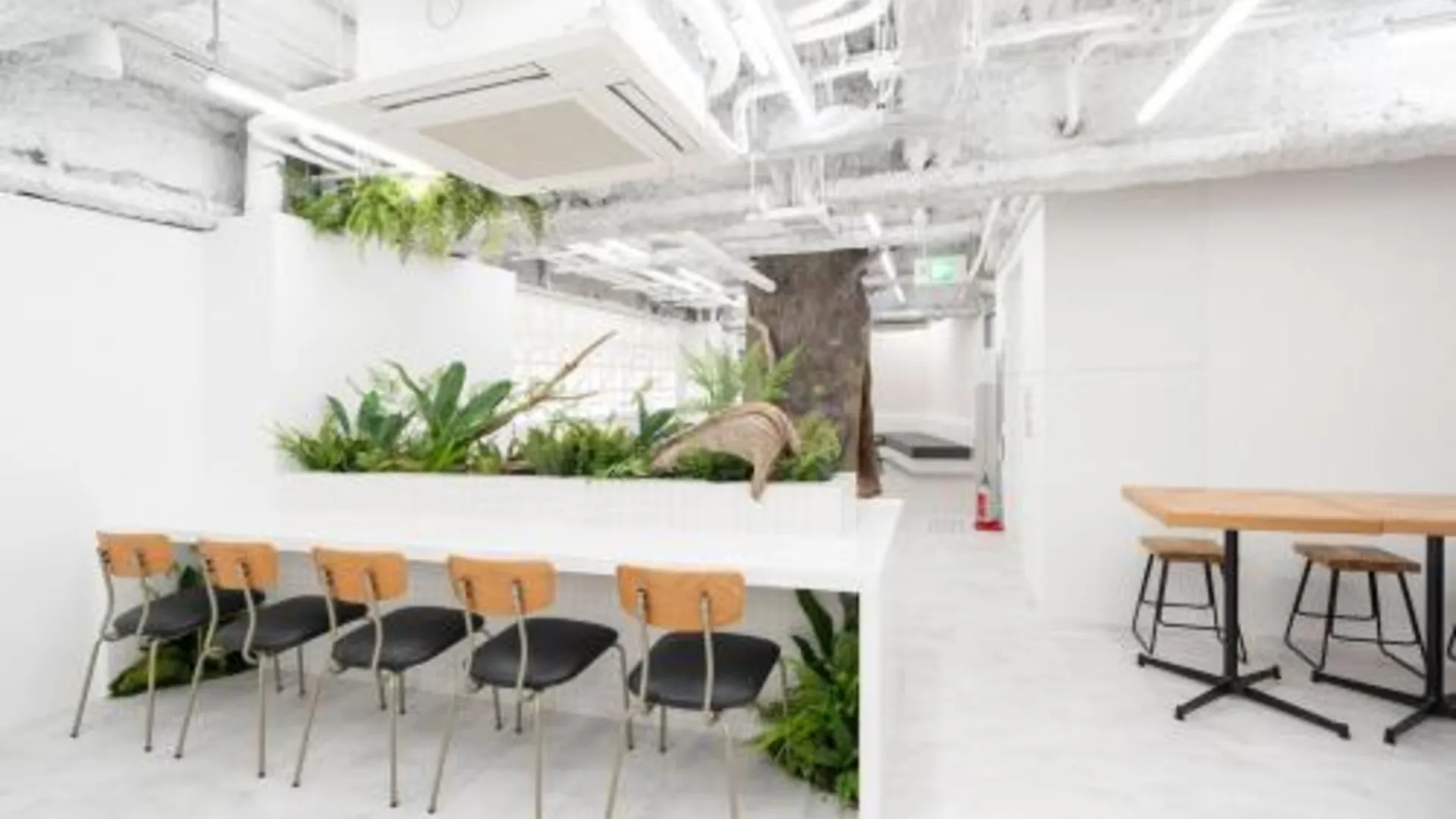 오사카 존 신사이바시 웨스트 5성급 호텔 부대시설