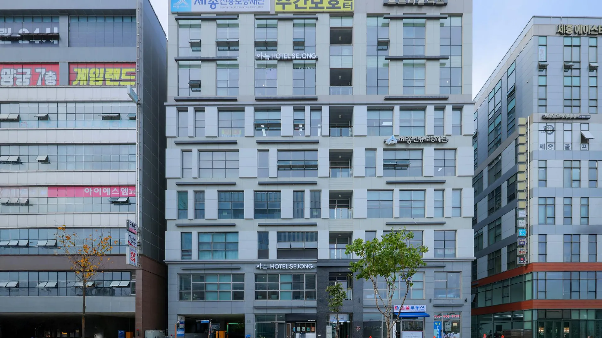 세종시 세종 아늑호텔 호텔 로비