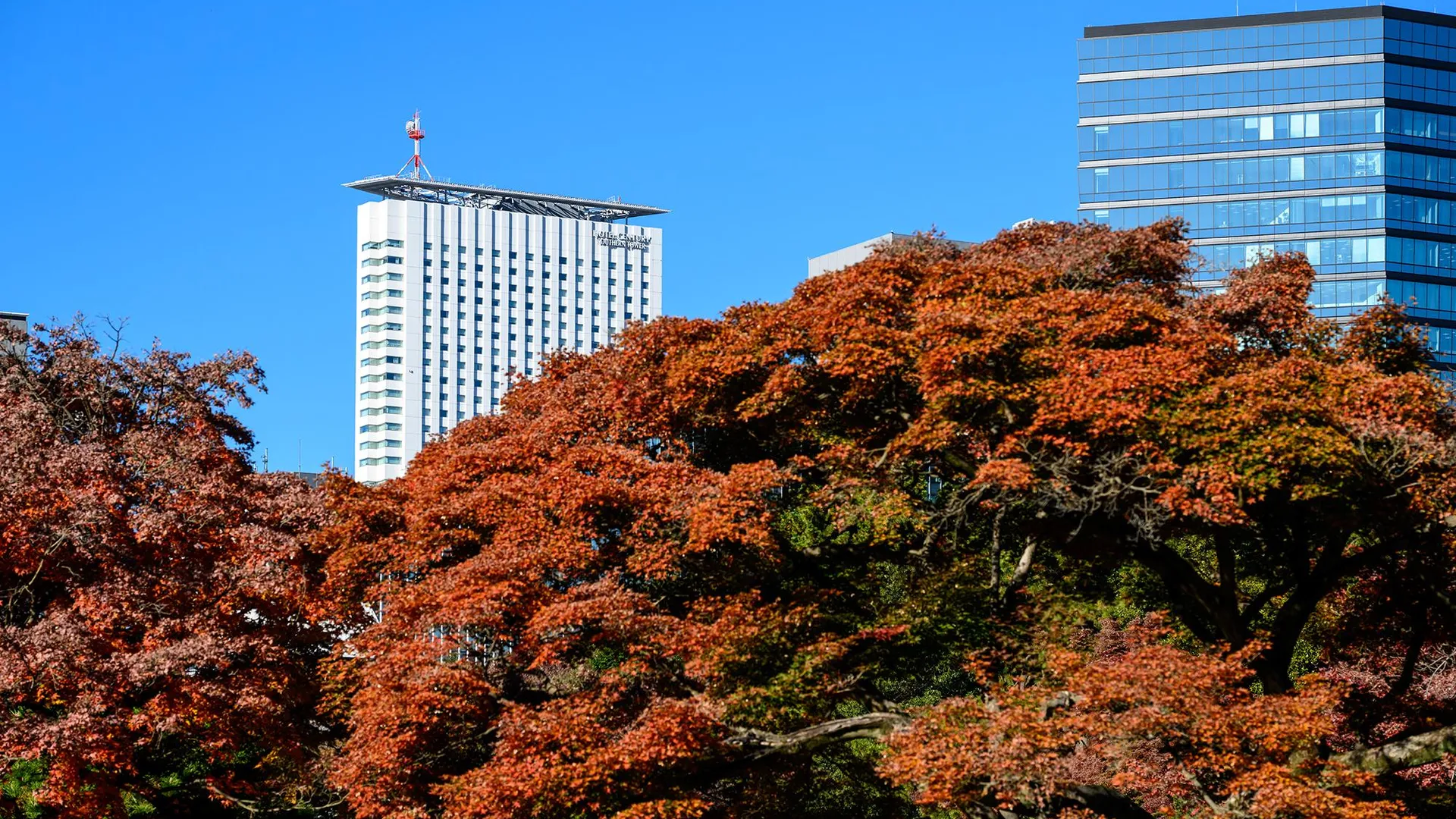 도쿄 / 동경 호텔 센추리 서던 타워 4성급 호텔 객실