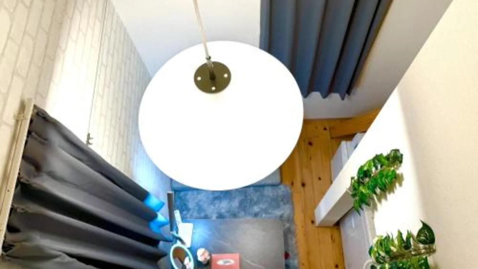 도쿄 / 동경 西早稲田駅&高田馬場駅b01 2성급 싱글룸 전망