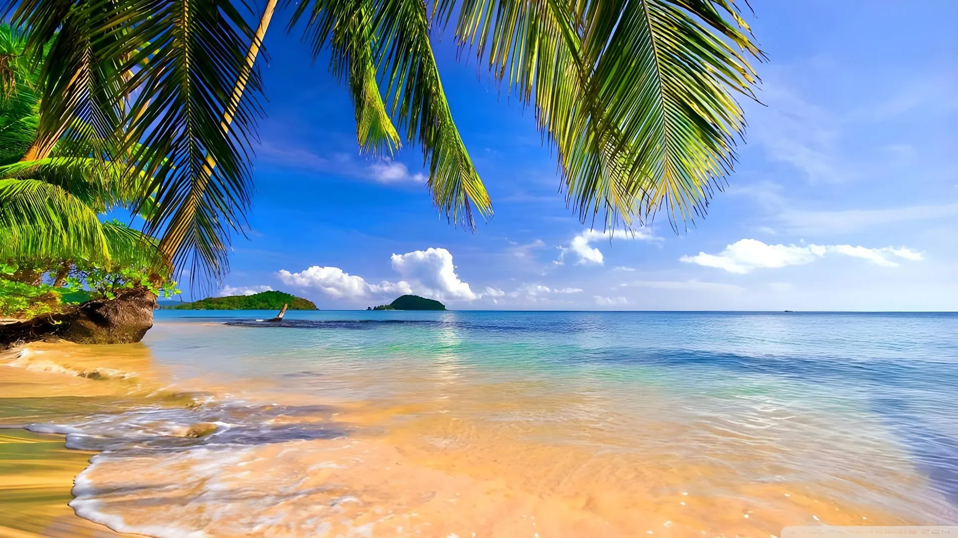 다낭 골든 라이트 호텔 4성급 호텔 부대시설