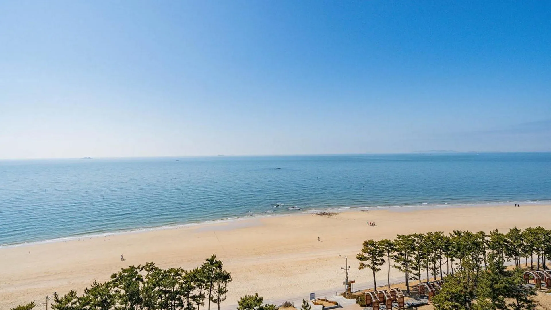 보령 보령 대천 광개토 호텔 호텔 부대시설