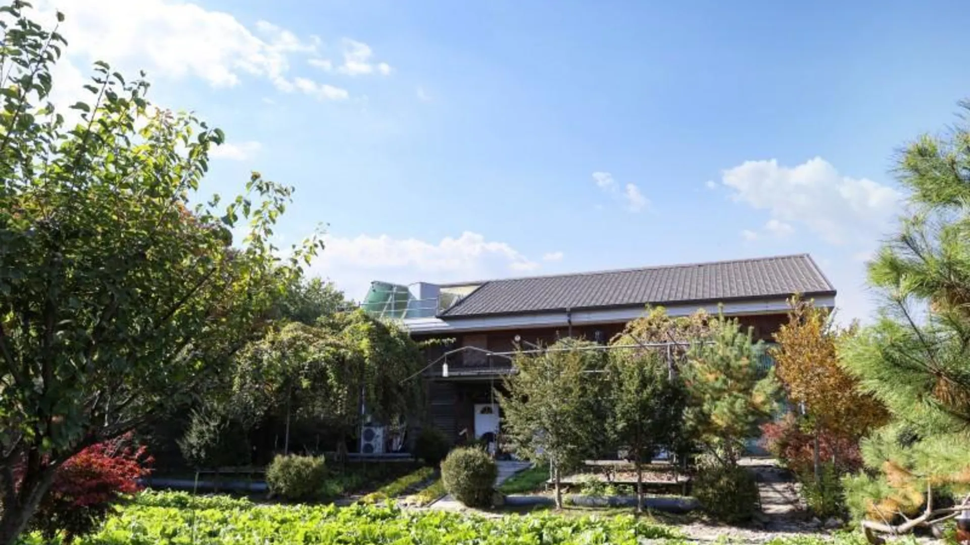 양평 양평 하예원펜션 2성급 게스트하우스 전망