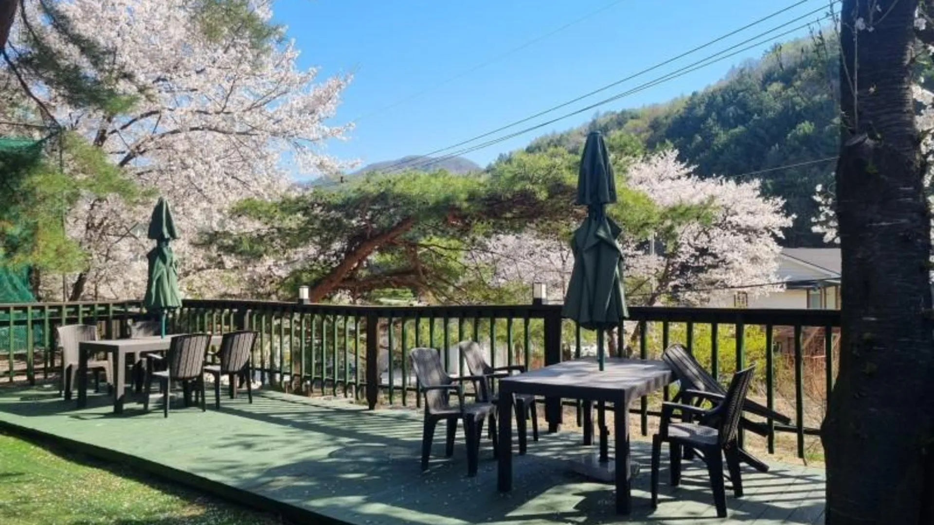 양평 양평 자전거펜션 (구 재즈의고향-단체워크샵-) 2성급 게스트하우스 수영장