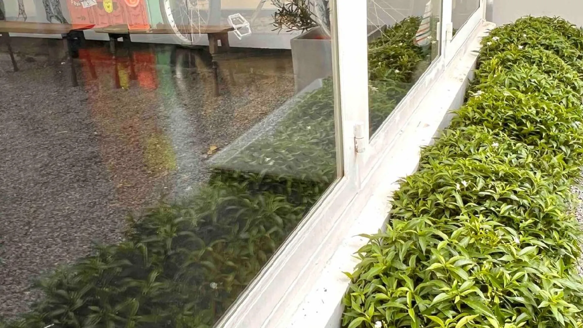 방콕 기타의 프라이빗 하우스 (48m², 침실 1개, 프라이빗 욕실 1개) 3성급 싱글룸 부대시설