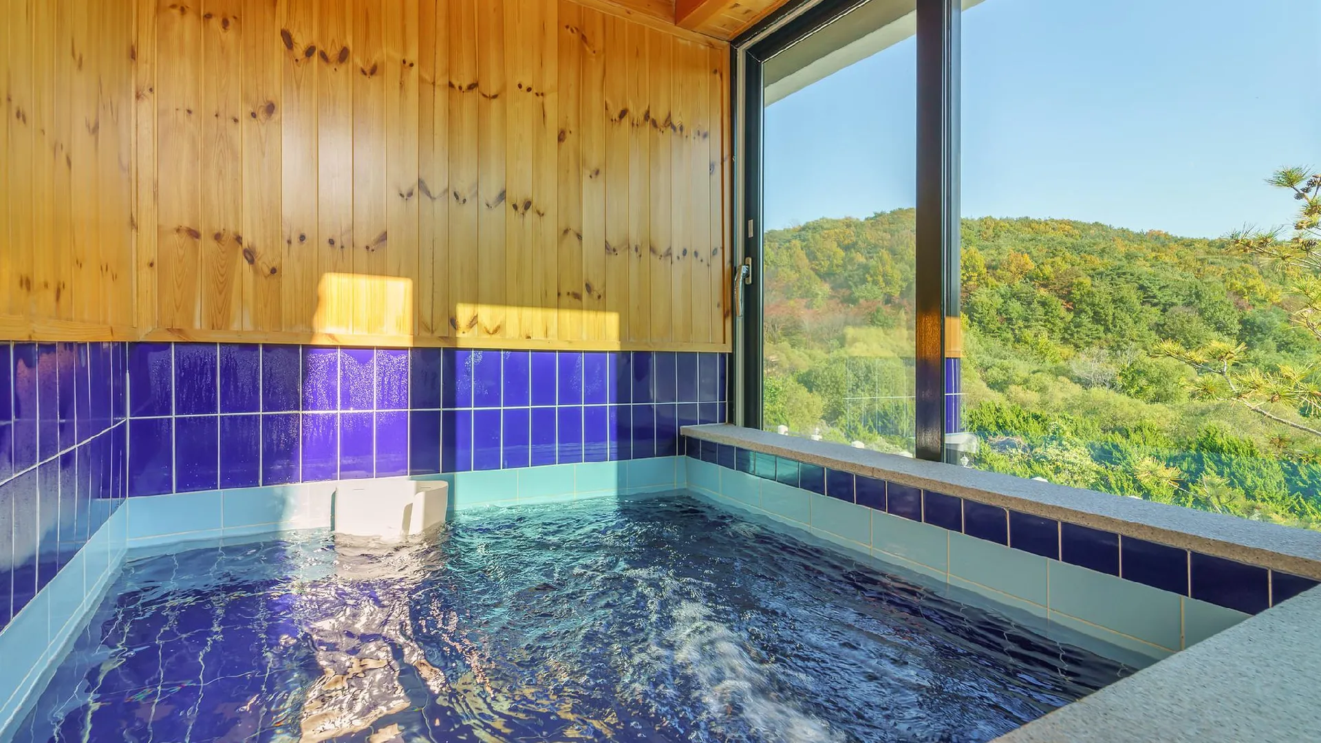 청원 청주 이티성풀빌라& 이티성 더글램 3성급 게스트하우스 부대시설