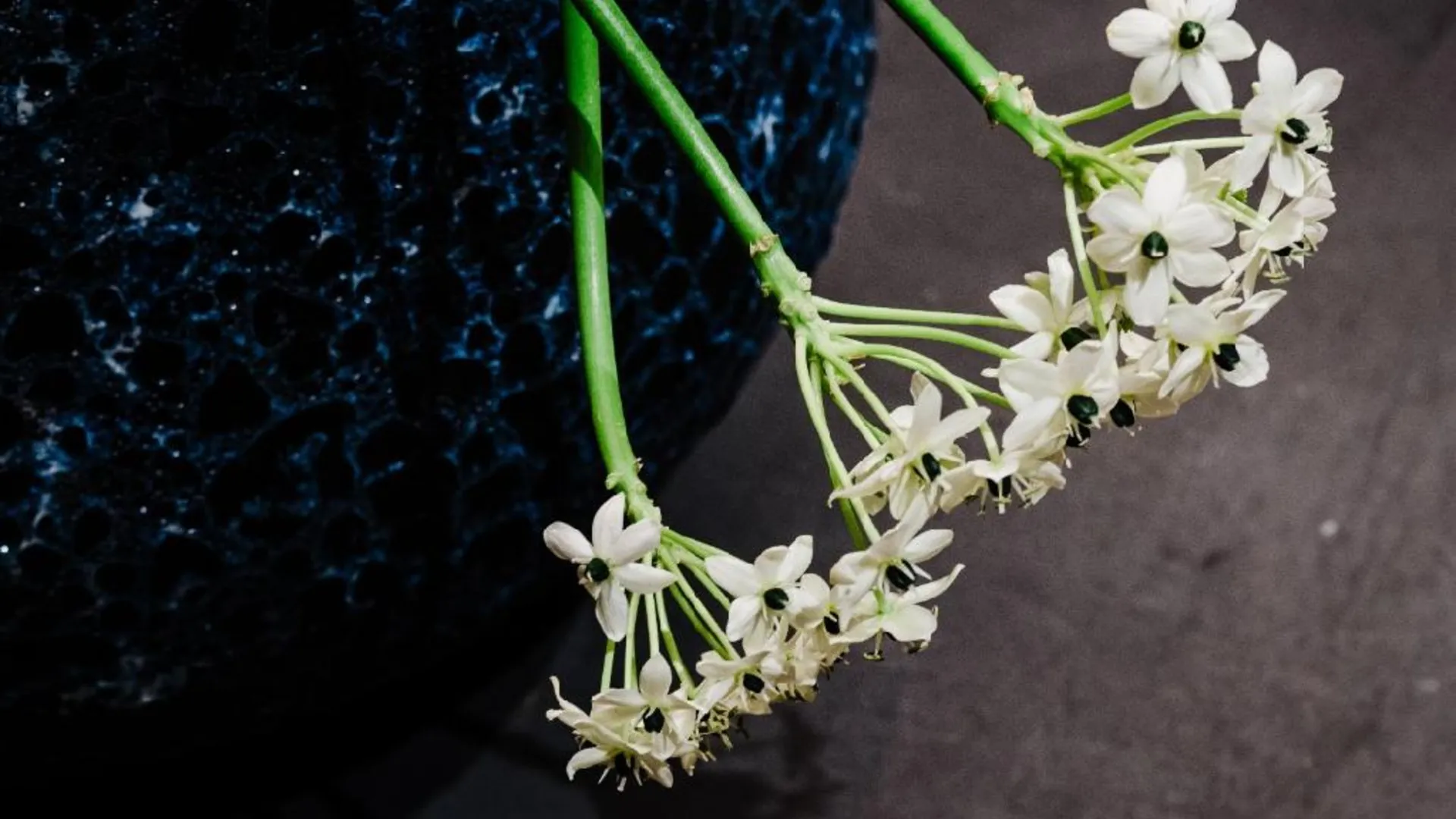 교토 키오리 호텔 타카쿠라 4성급 호텔 스위트룸