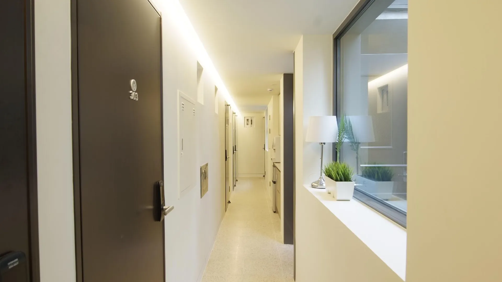 서울 디더블유 스테이 홍대 3성급 호텔 부대시설