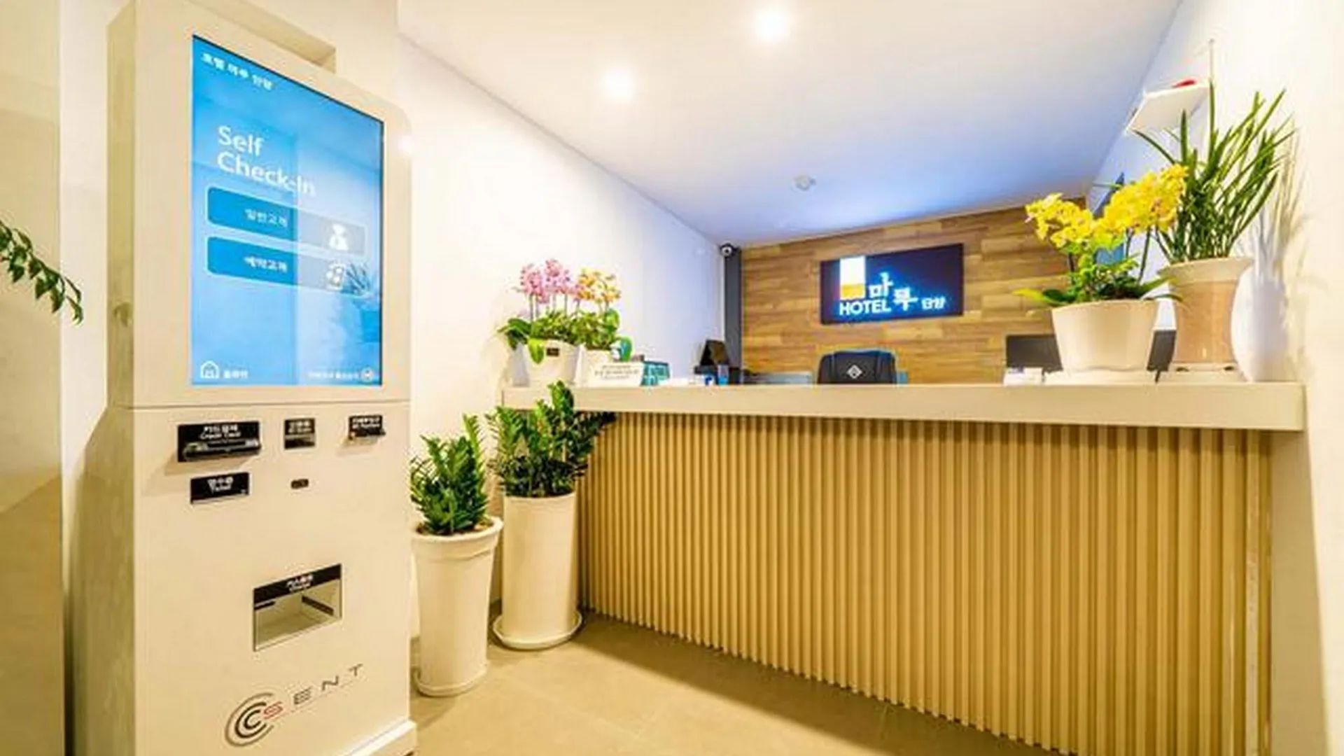 단양 호텔 마루 단양점 호텔 외관