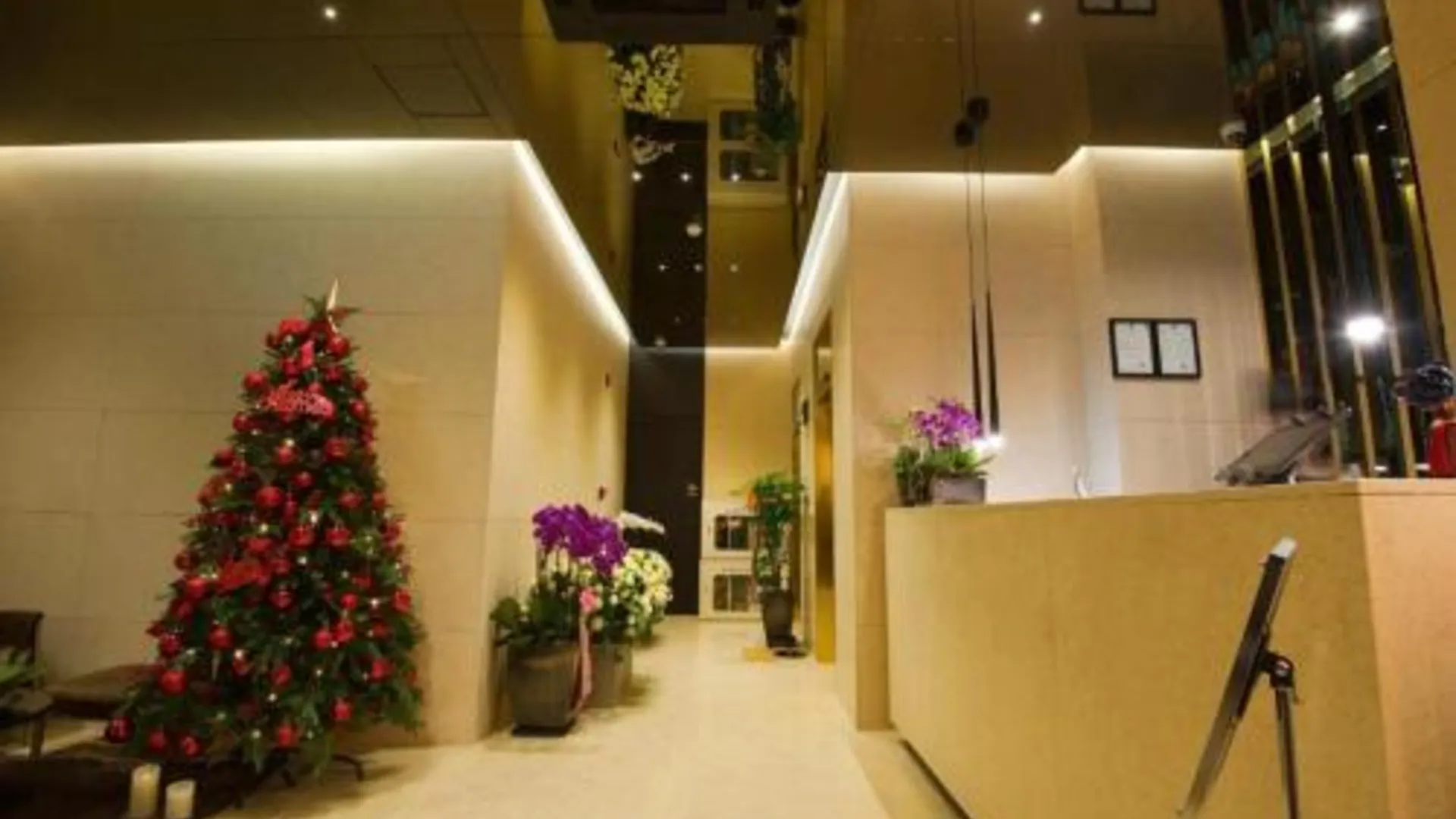 서울 호텔 디 아티스트 역삼점 3성급 호텔 수영장