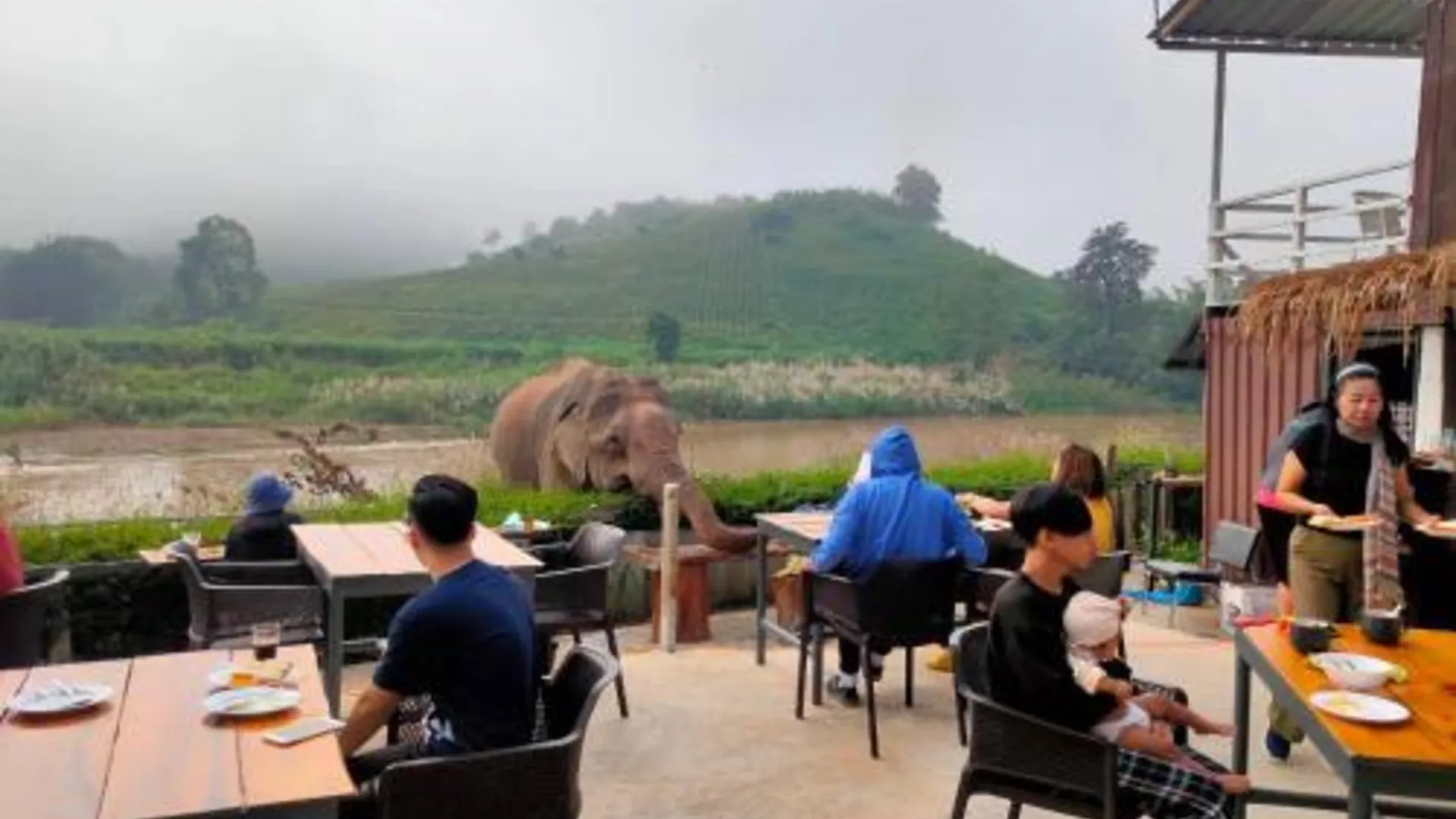 치앙라이 ริมกก โฮมสเตย์ rim-kok homestay 3성급 게스트하우스 수영장