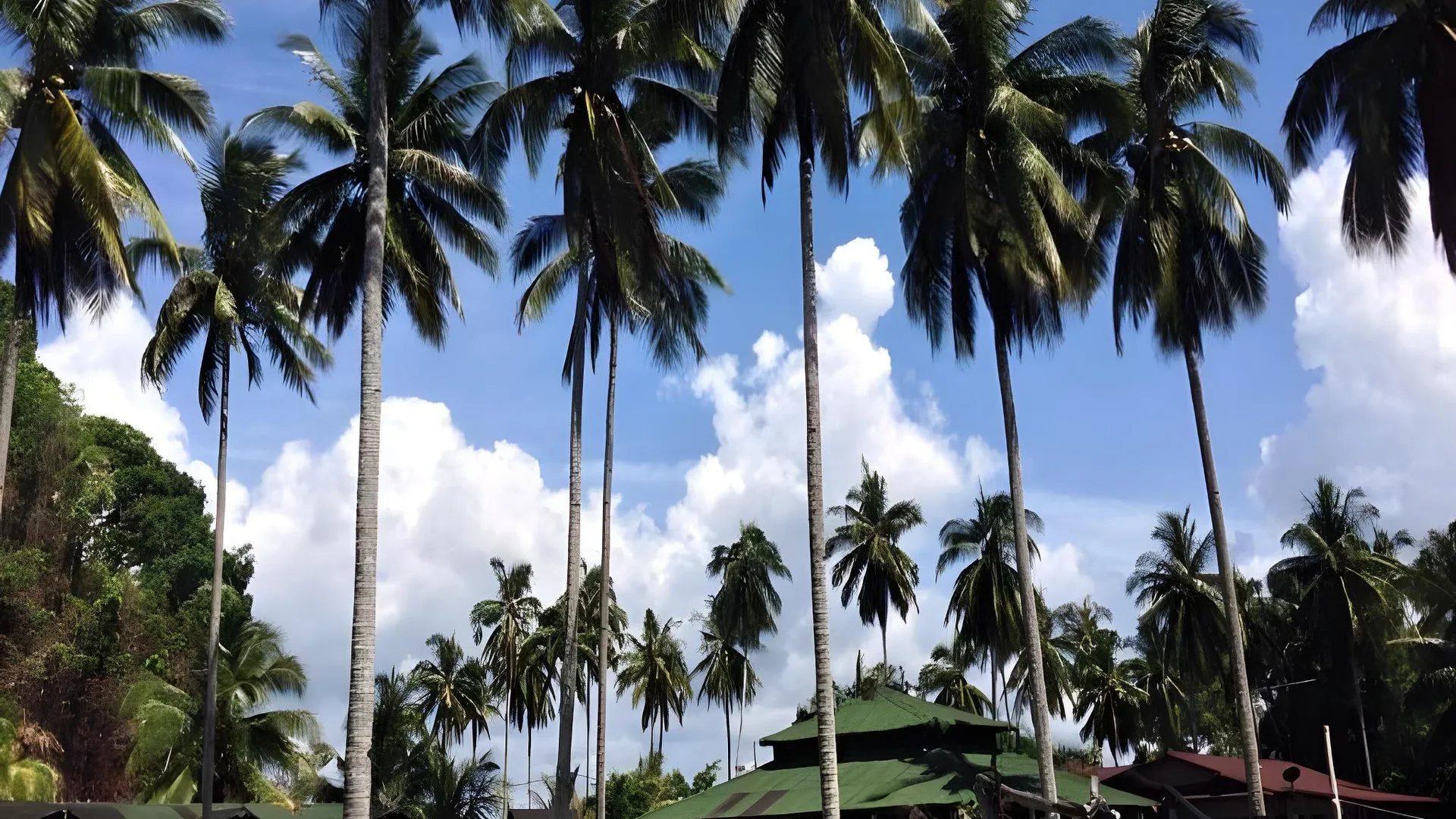 메르싱 피싱 베이 리조트 3성급 호텔 객실