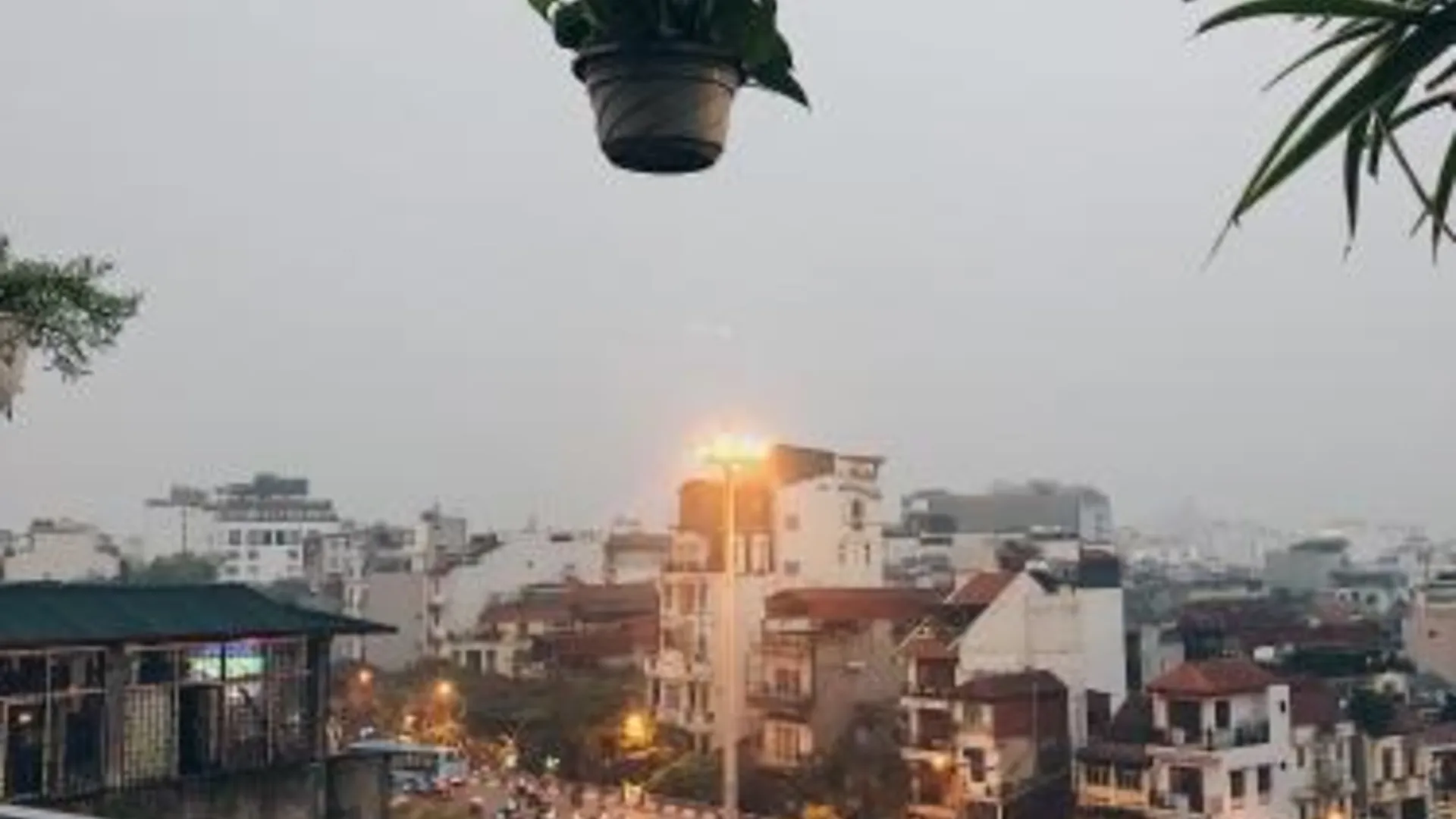 하노이 칵터스 홈스테이 2성급 게스트하우스 로비