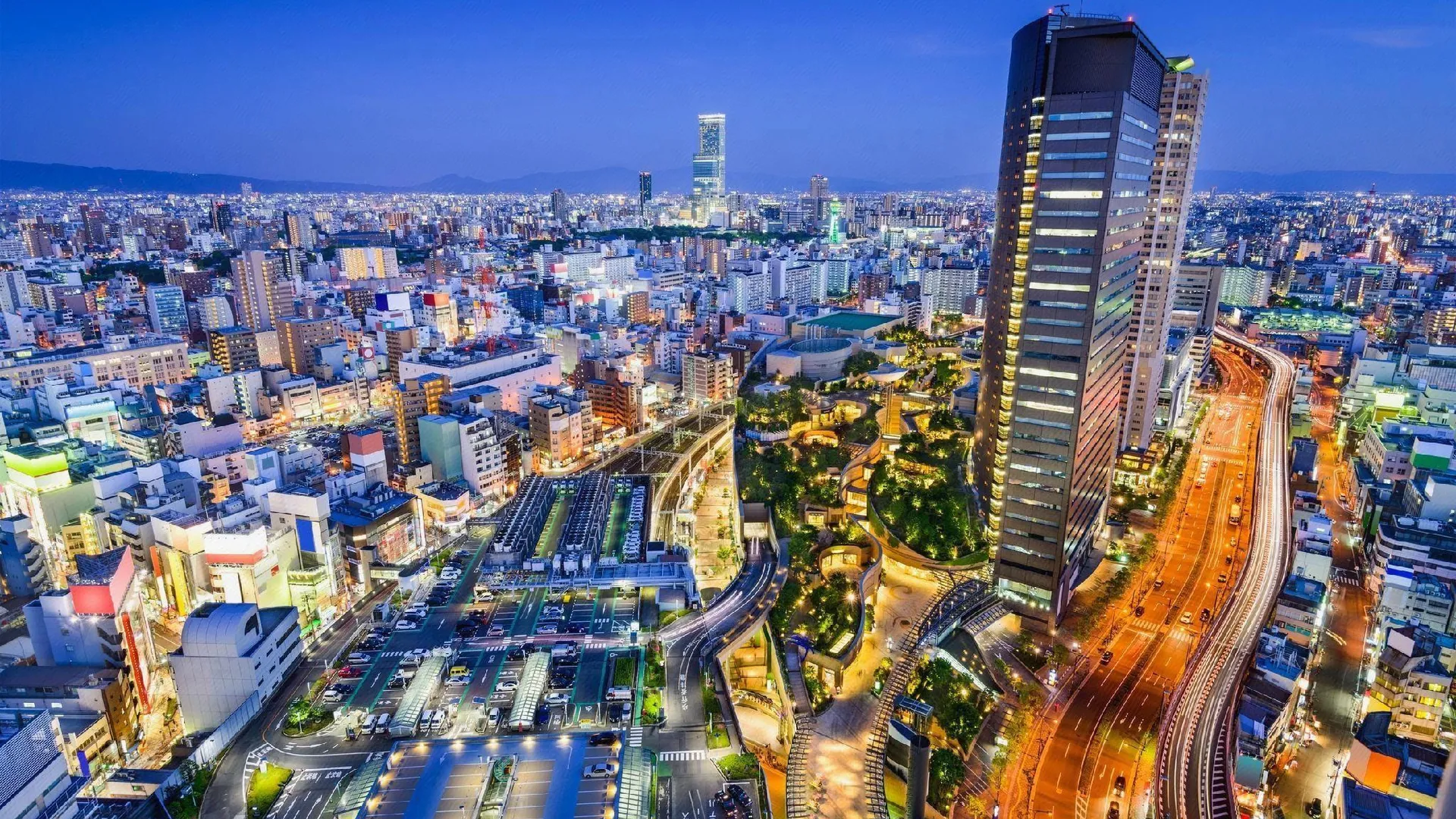 오사카 Hippo Hostel and Cafe Bar 1성급 호텔 수영장