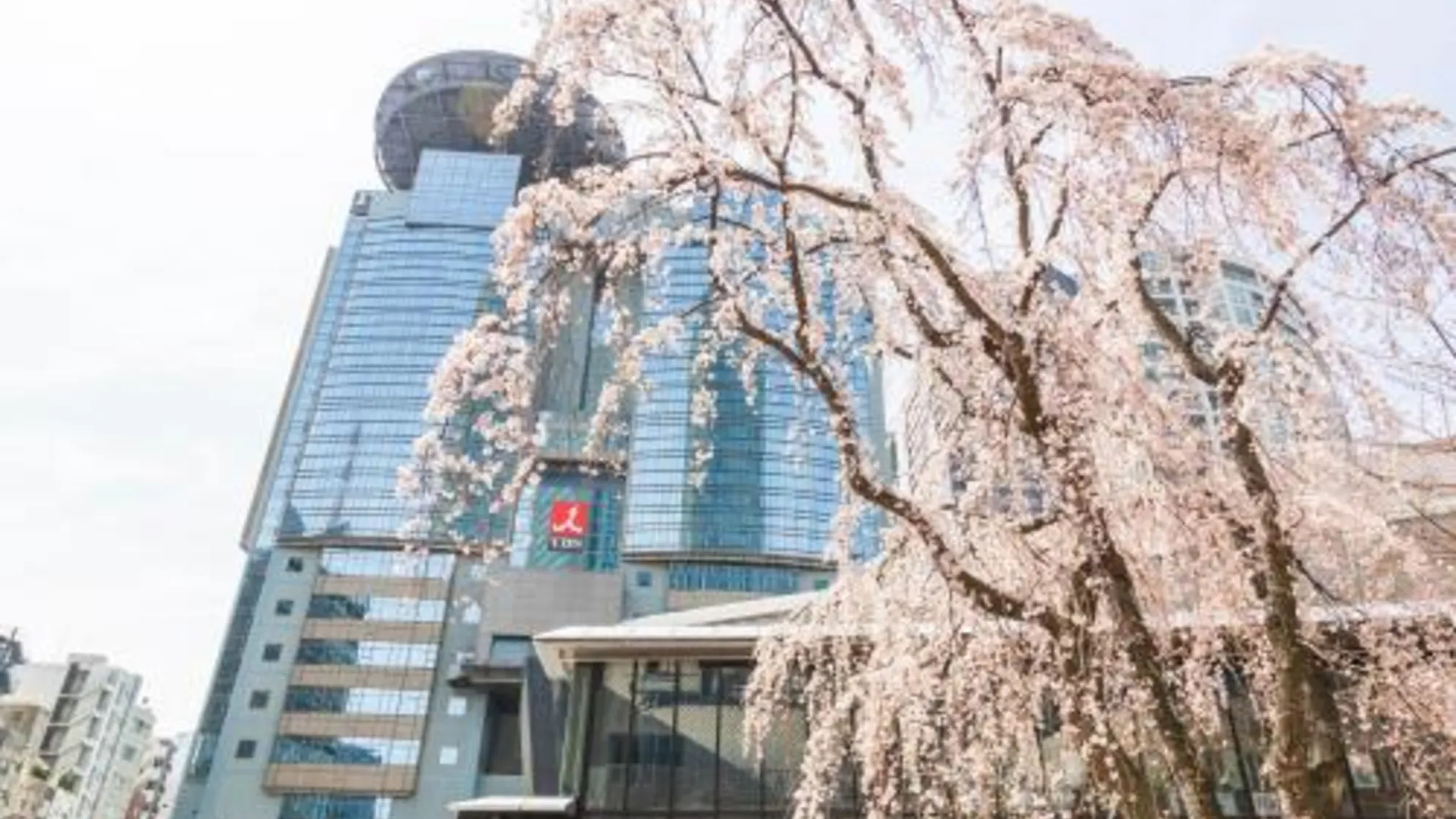 도쿄 / 동경 게스트하우스 아카사카 노 사토 도쿄 - 여성전용 2성급 호텔 레스토랑