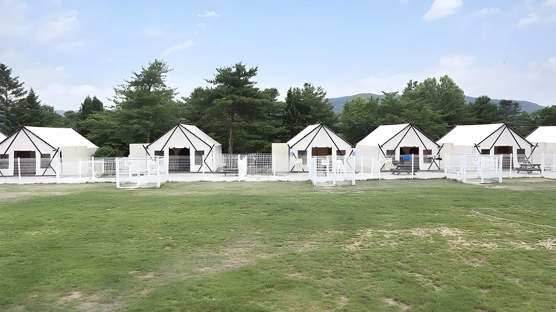 용인 골드 펫 리조트 3성급 게스트하우스 전망