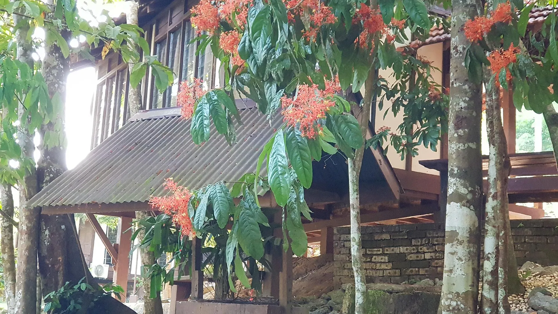 렝공 D'Impiana Riverview Chalet @ Lenggong 4성급 게스트하우스 객실